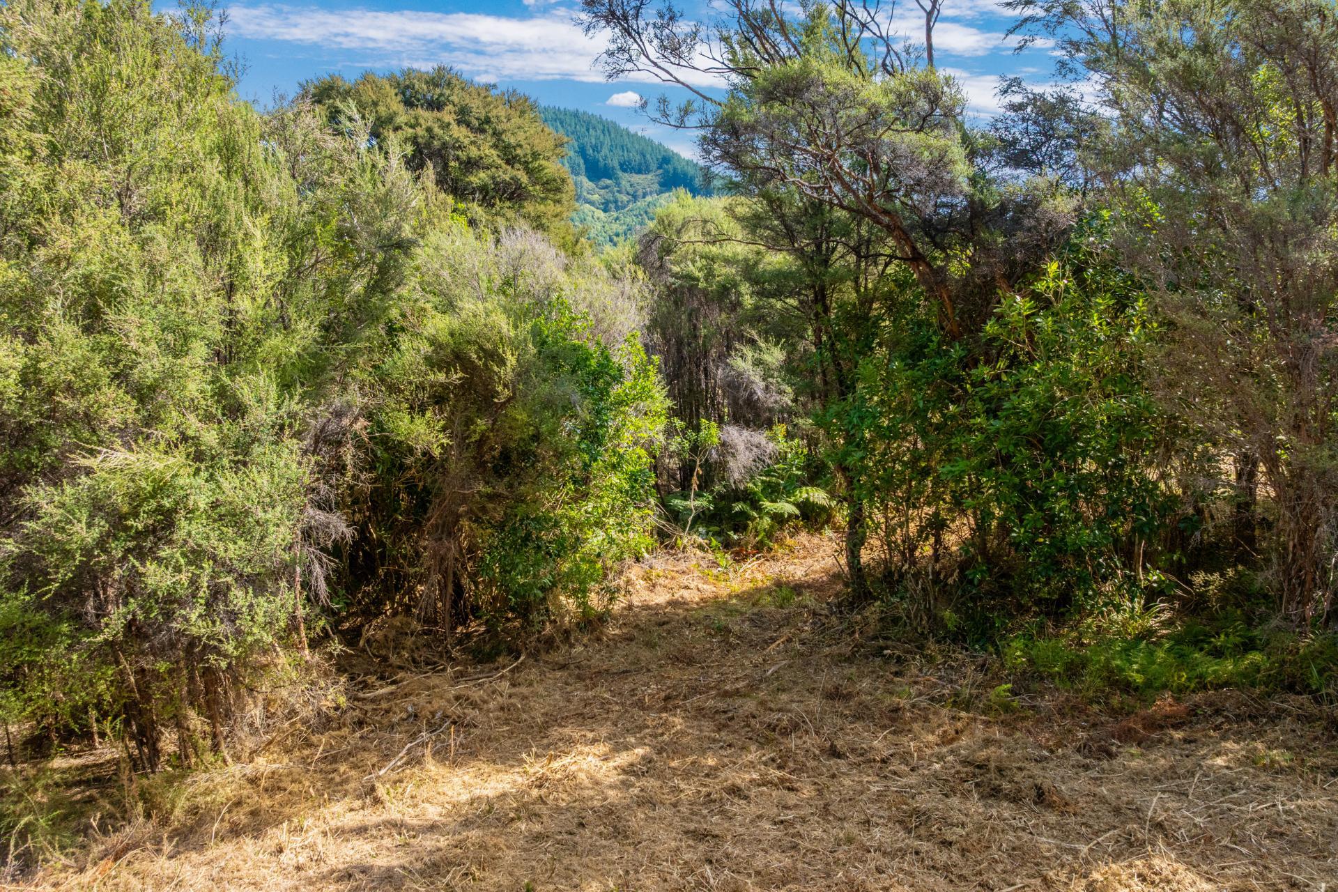 Lot 10 Kaiuma Bay, Kaiuma Bay