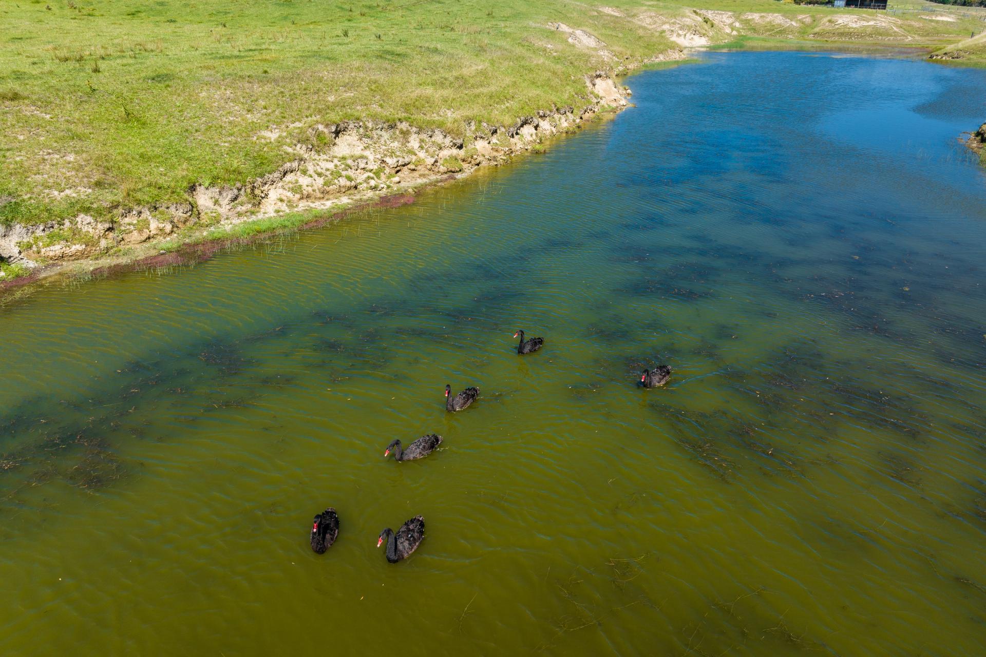 363 Caseys Road, Blind River