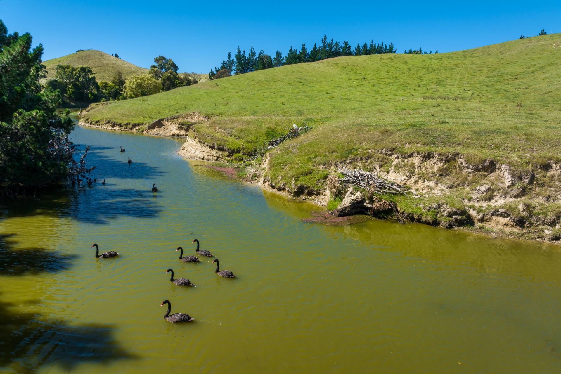 363 Caseys Road, Blind River