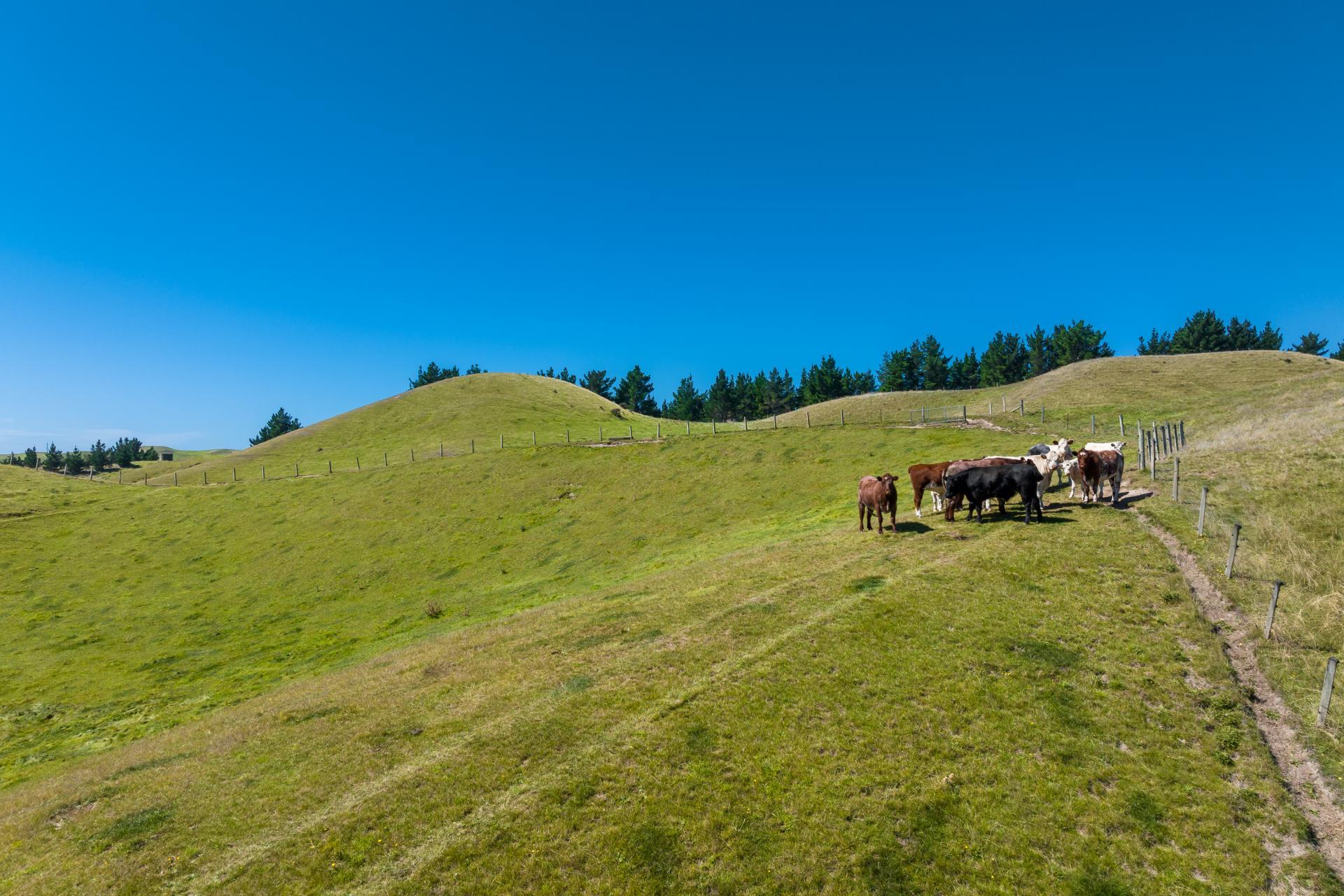 363 Caseys Road, Blind River