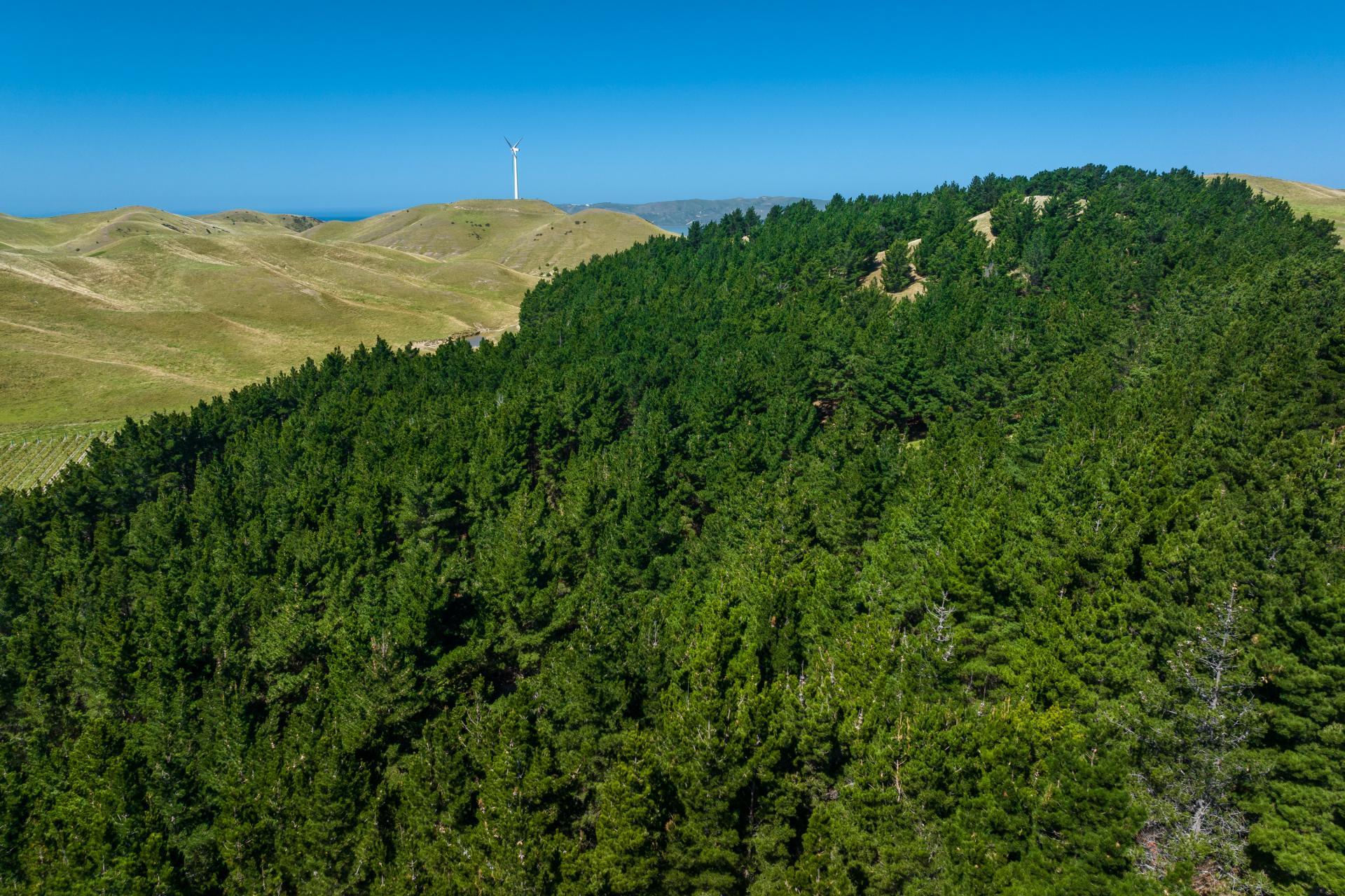 363 Caseys Road, Blind River