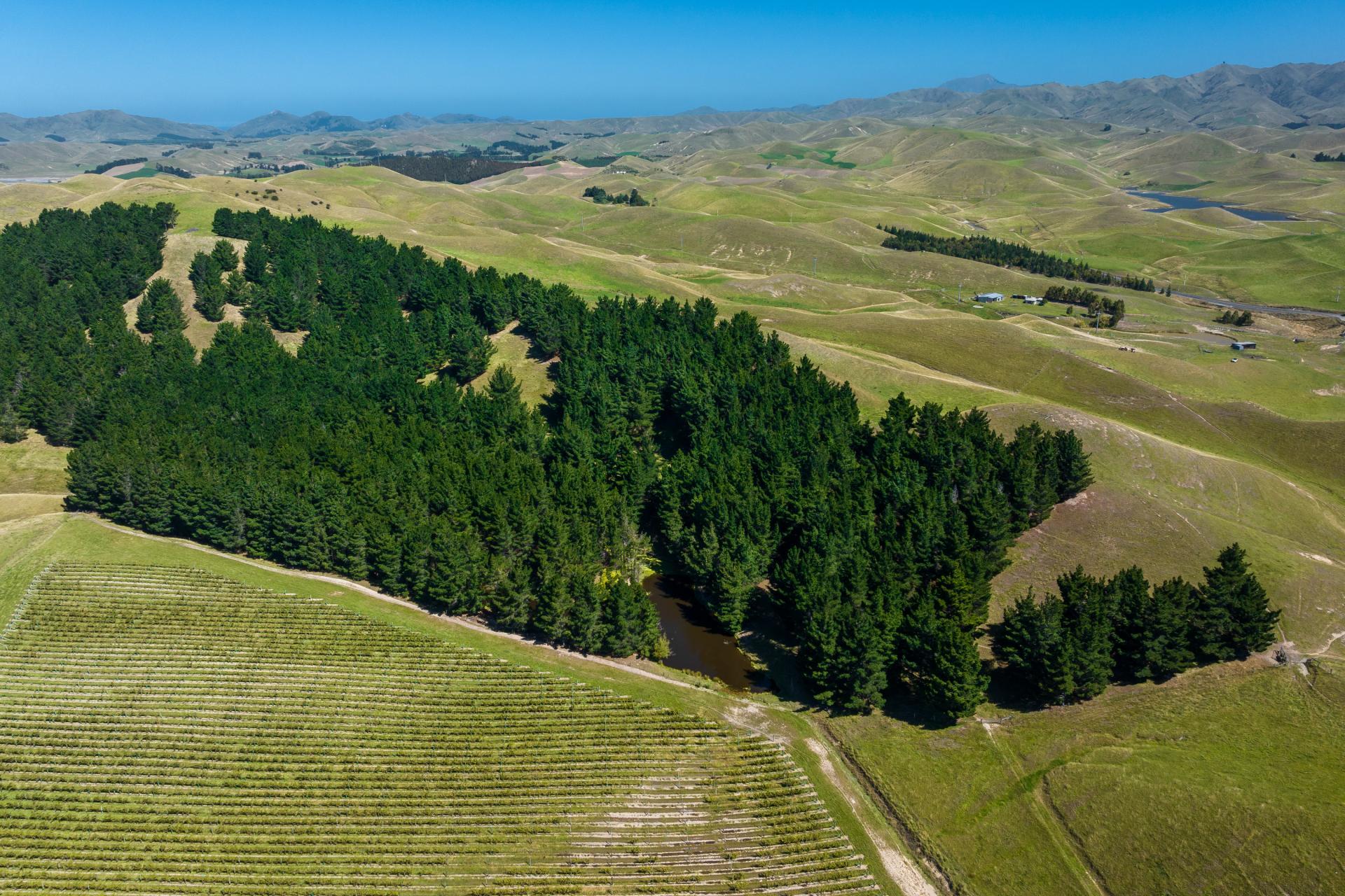 363 Caseys Road, Blind River