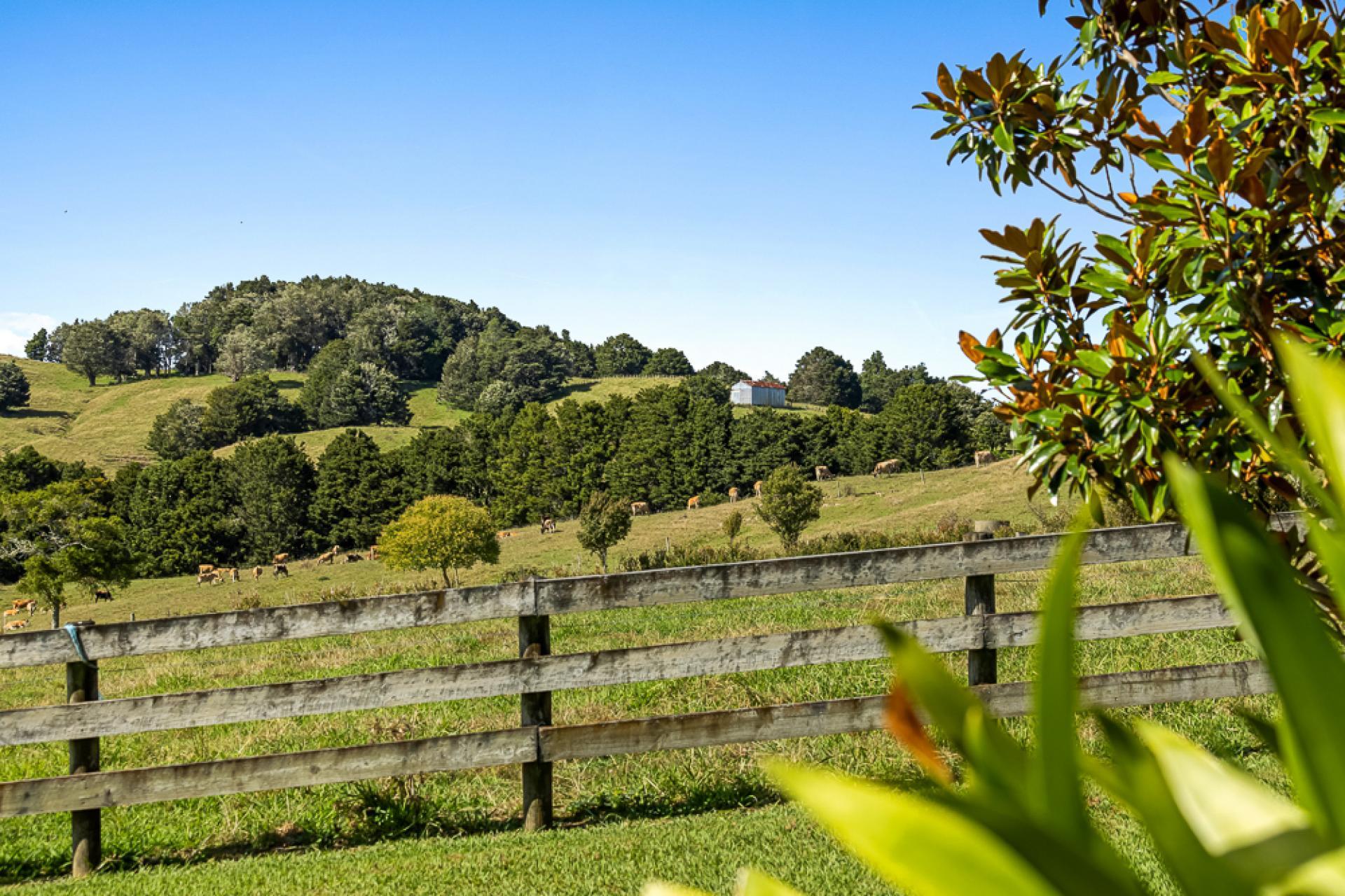 123 Whakapirau Road, Wellsford