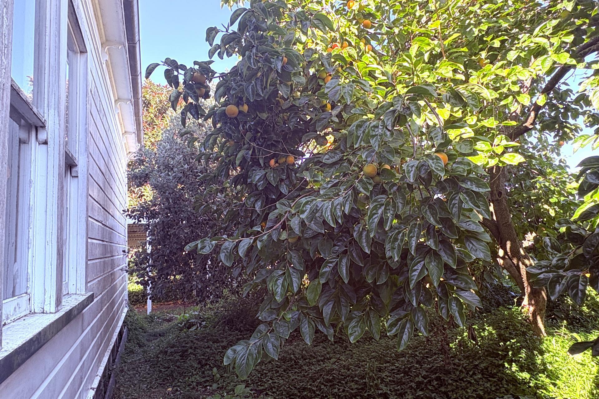 12 Delhi Street, Wairoa