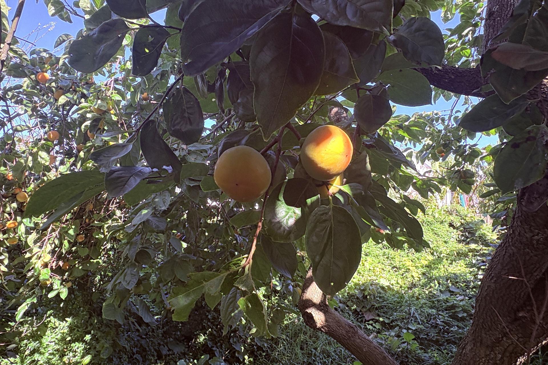 12 Delhi Street, Wairoa