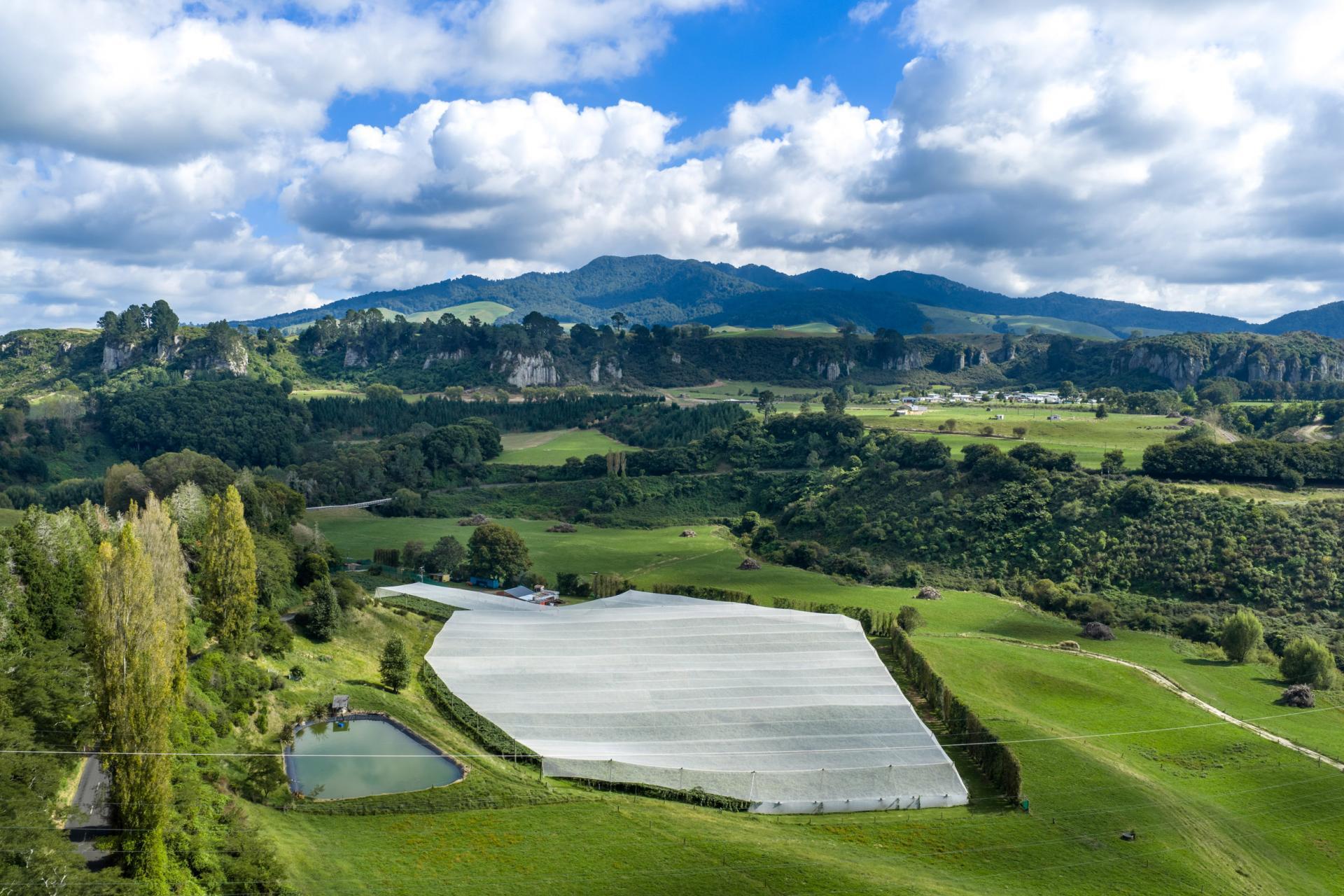 1151 Oreipunga Road, Maungatautari