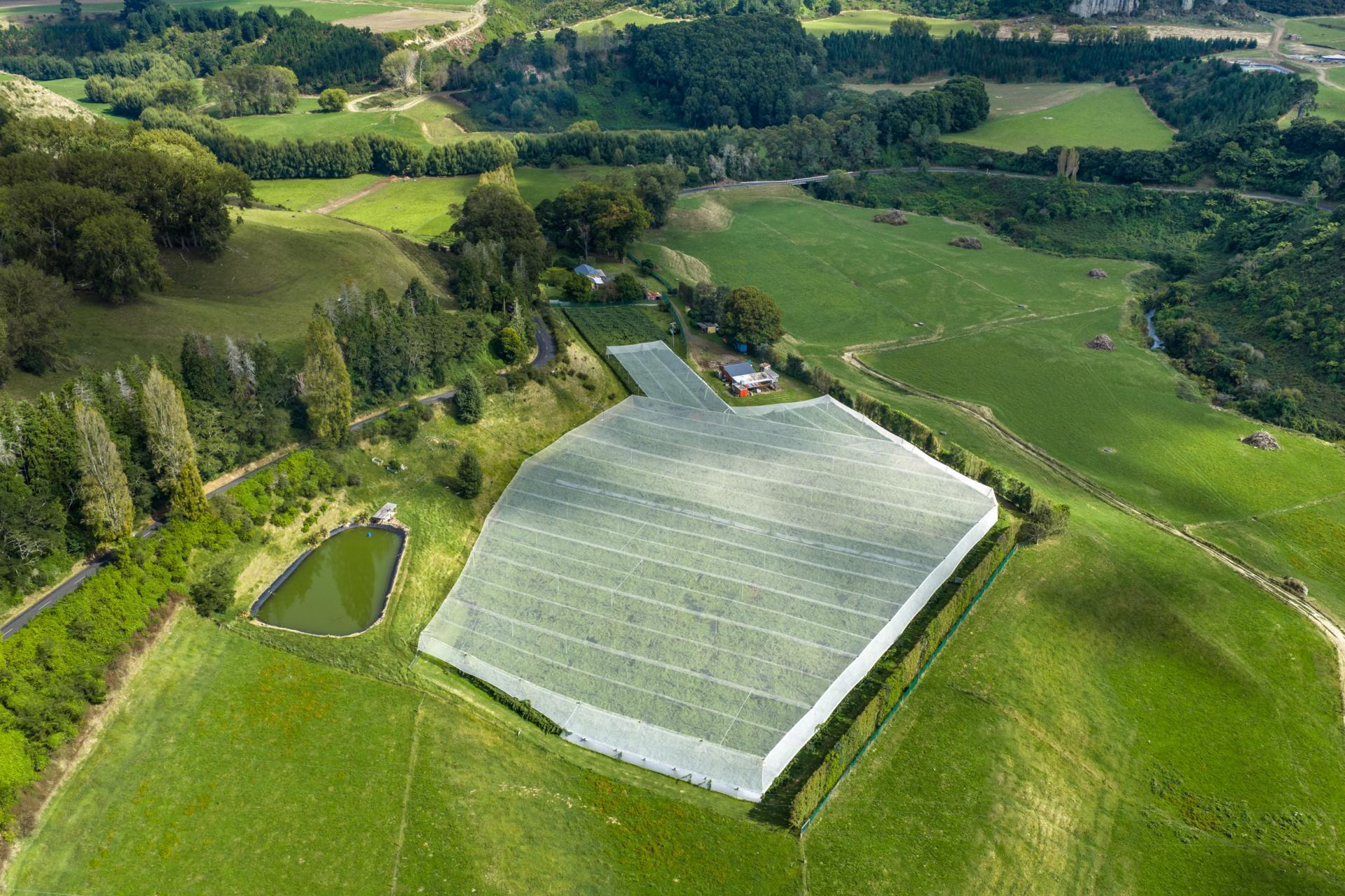 1151 Oreipunga Road, Maungatautari