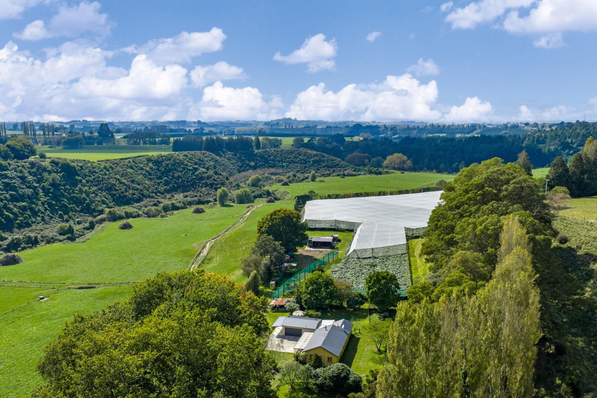 1151 Oreipunga Road, Maungatautari