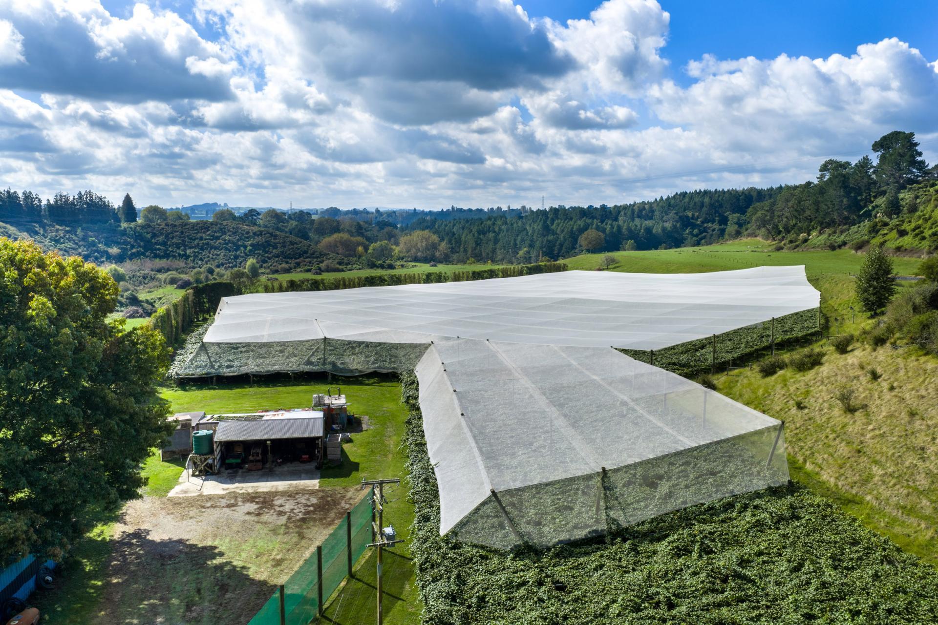 1151 Oreipunga Road, Maungatautari