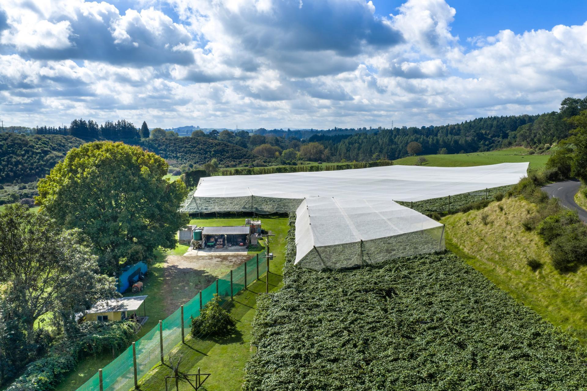 1151 Oreipunga Road, Maungatautari