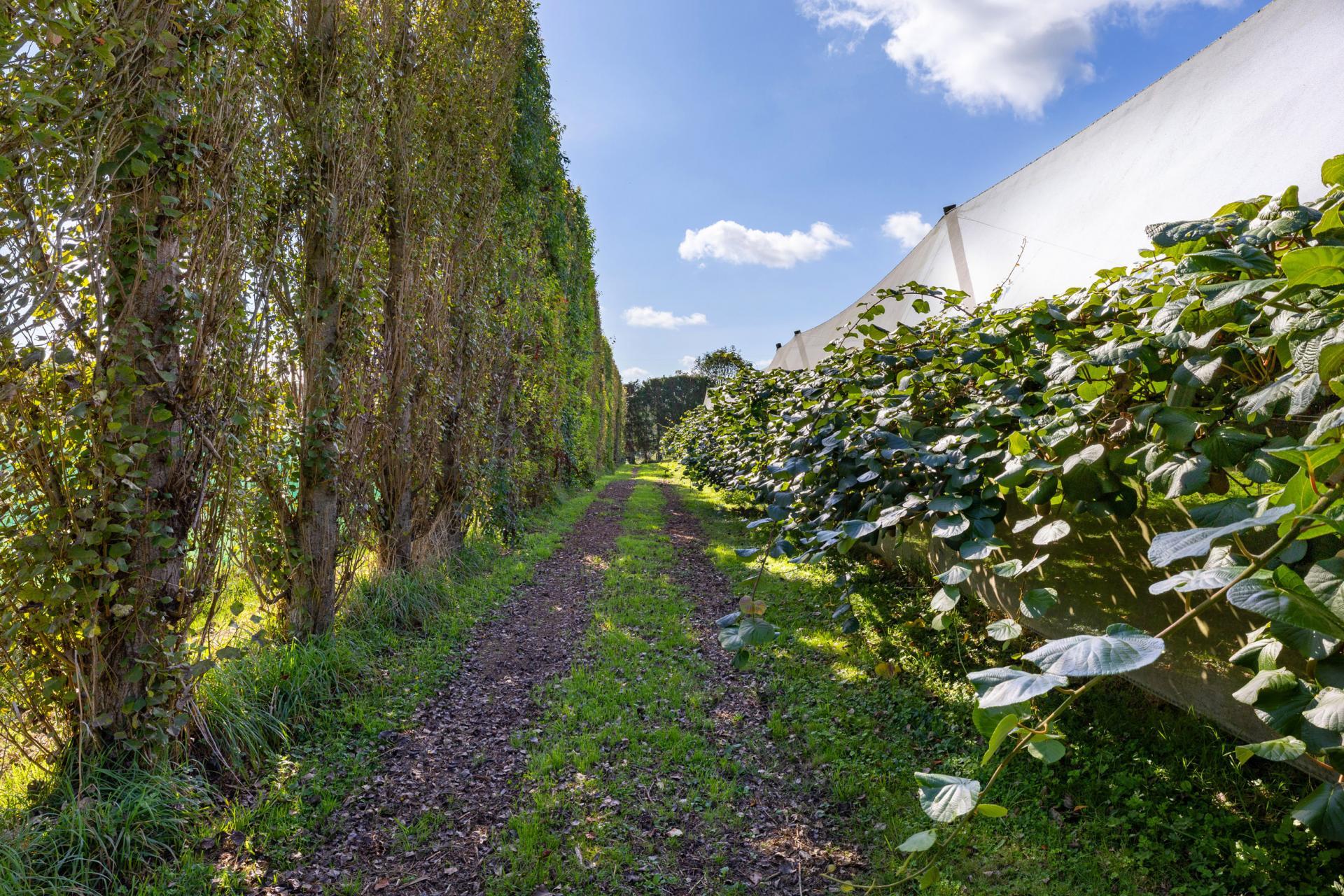 1151 Oreipunga Road, Maungatautari