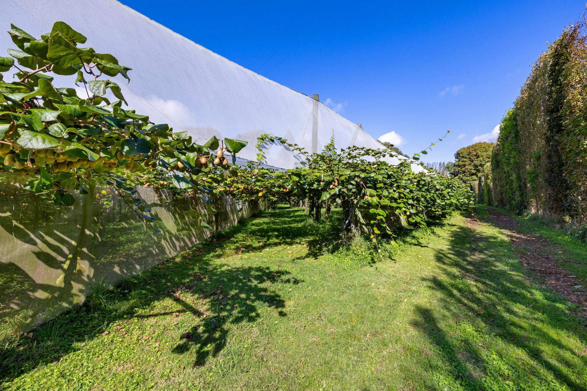 1151 Oreipunga Road, Maungatautari