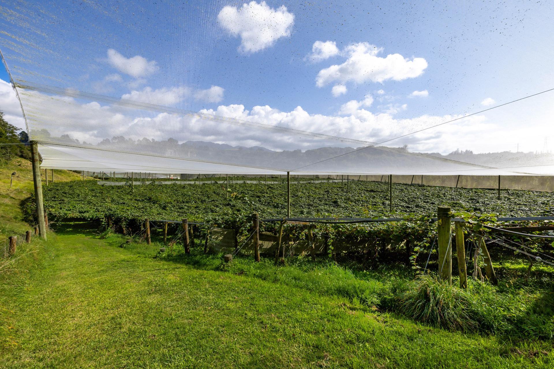 1151 Oreipunga Road, Maungatautari