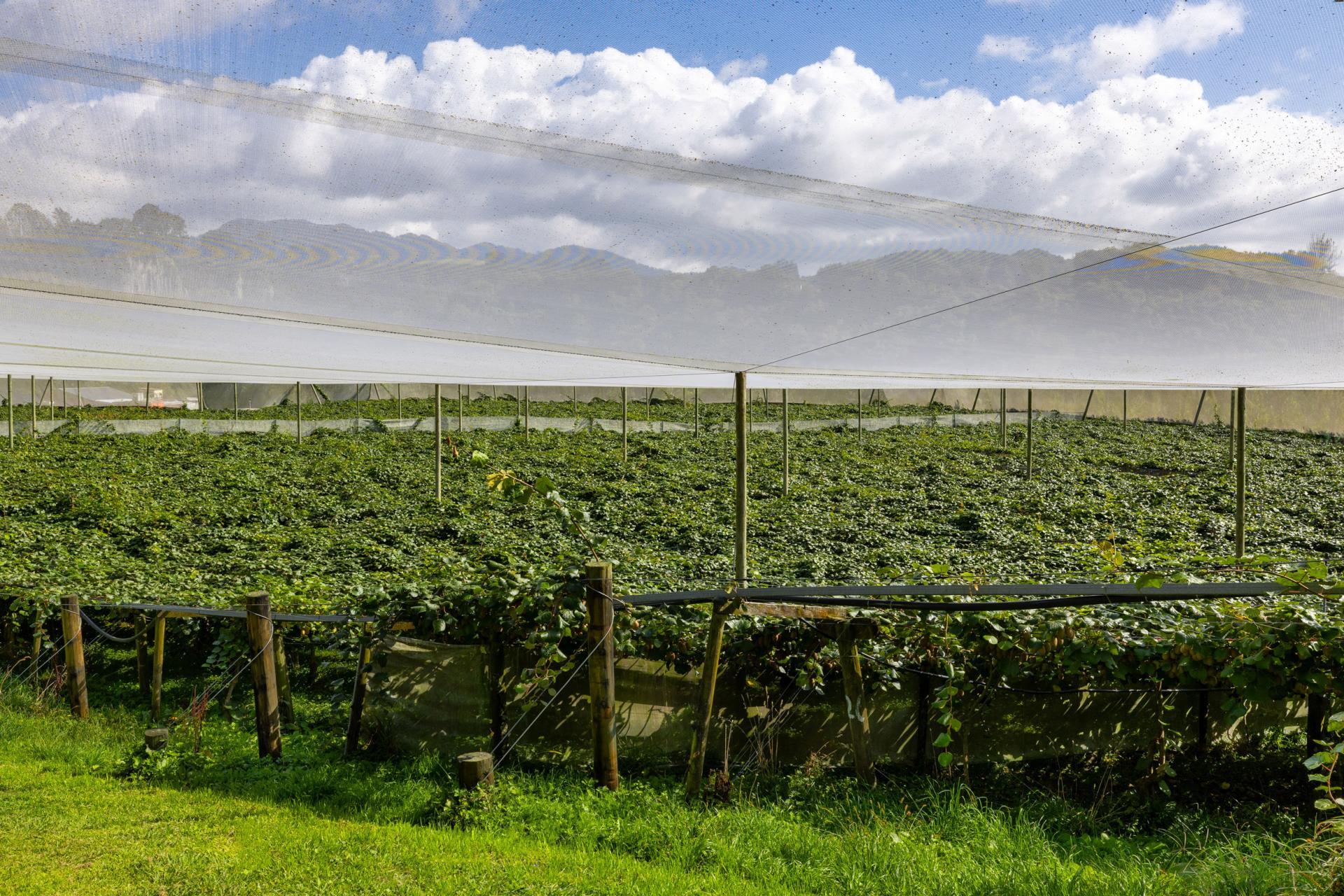 1151 Oreipunga Road, Maungatautari