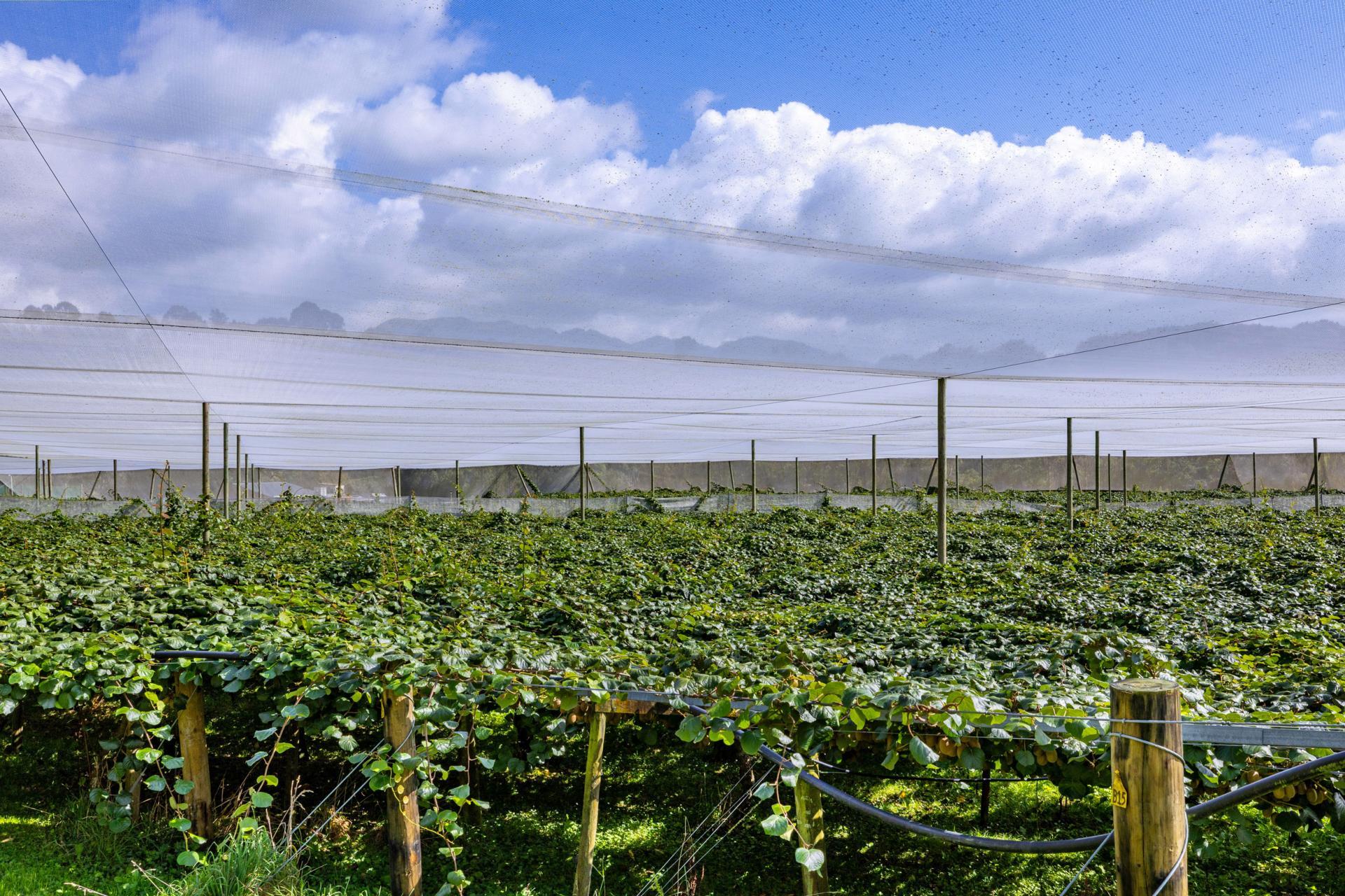 1151 Oreipunga Road, Maungatautari
