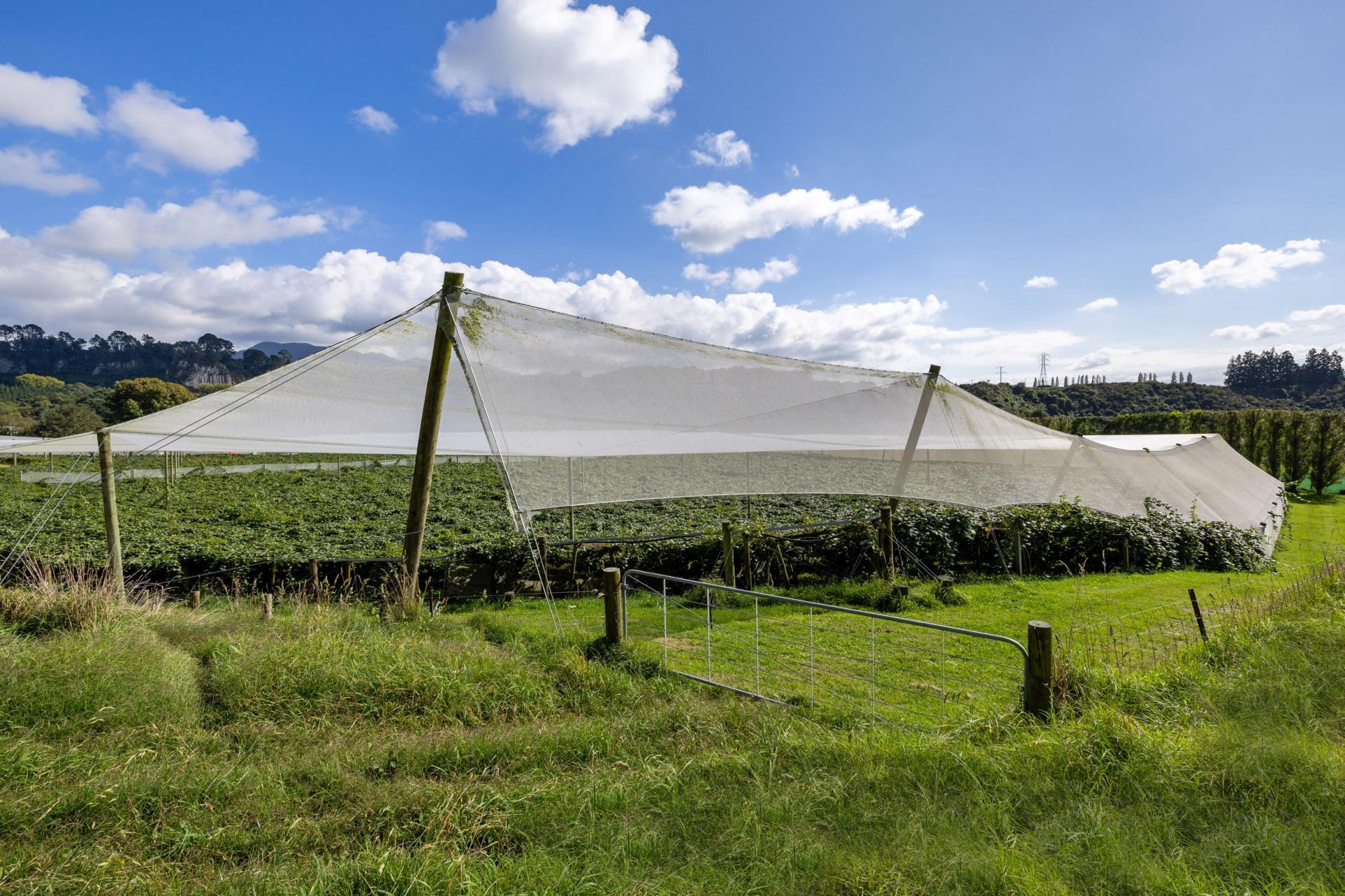 1151 Oreipunga Road, Maungatautari