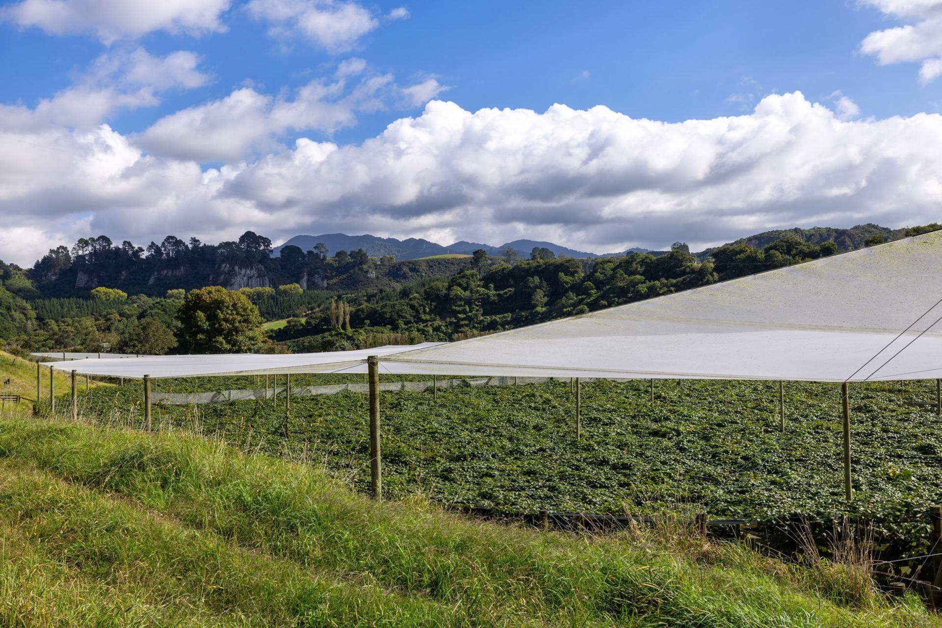 1151 Oreipunga Road, Maungatautari