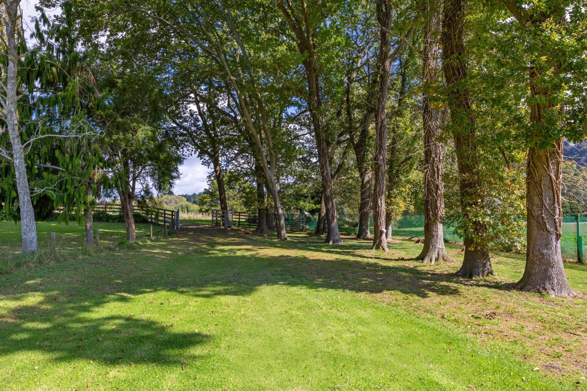 1151 Oreipunga Road, Maungatautari