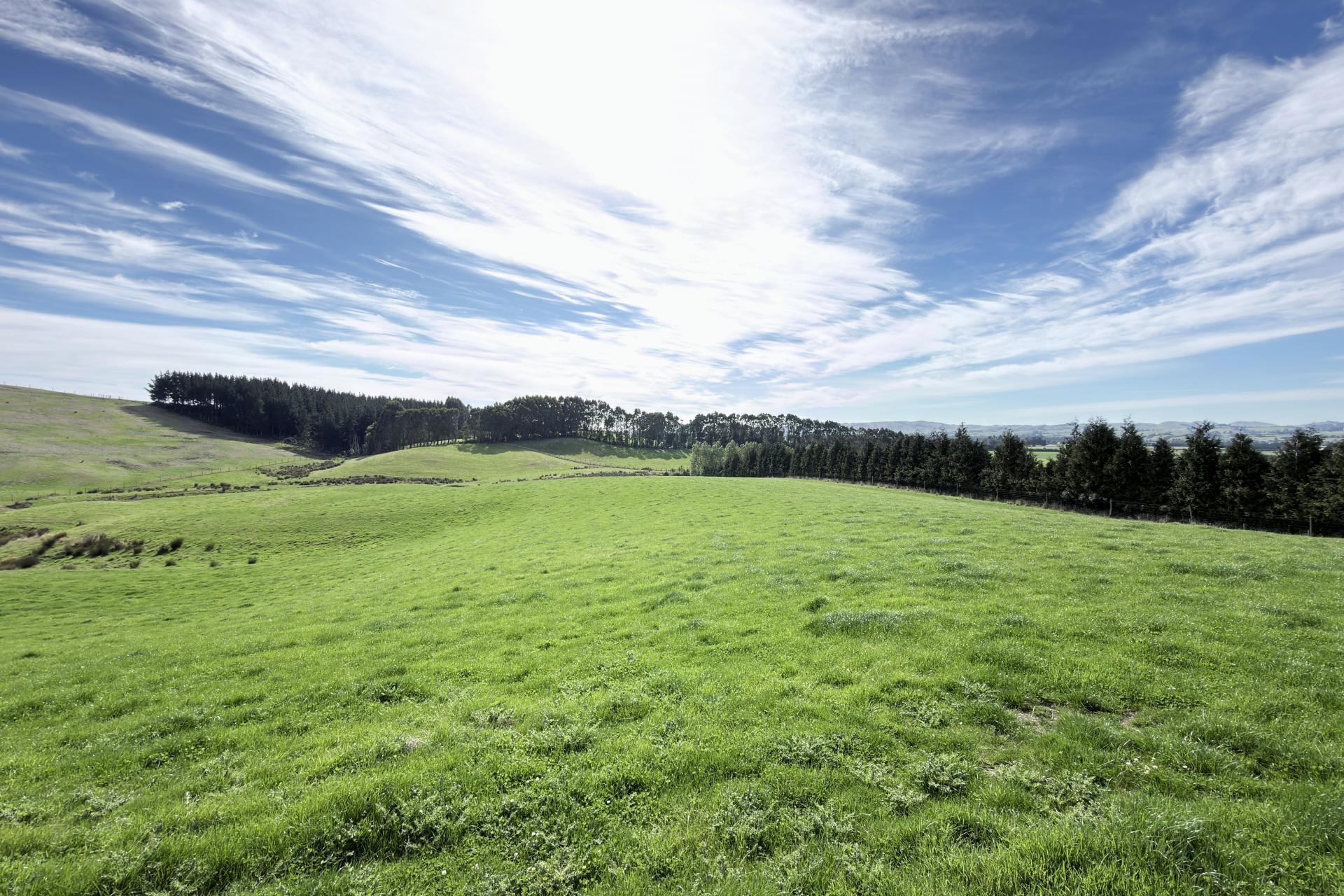 Glendhu Road, Mataura