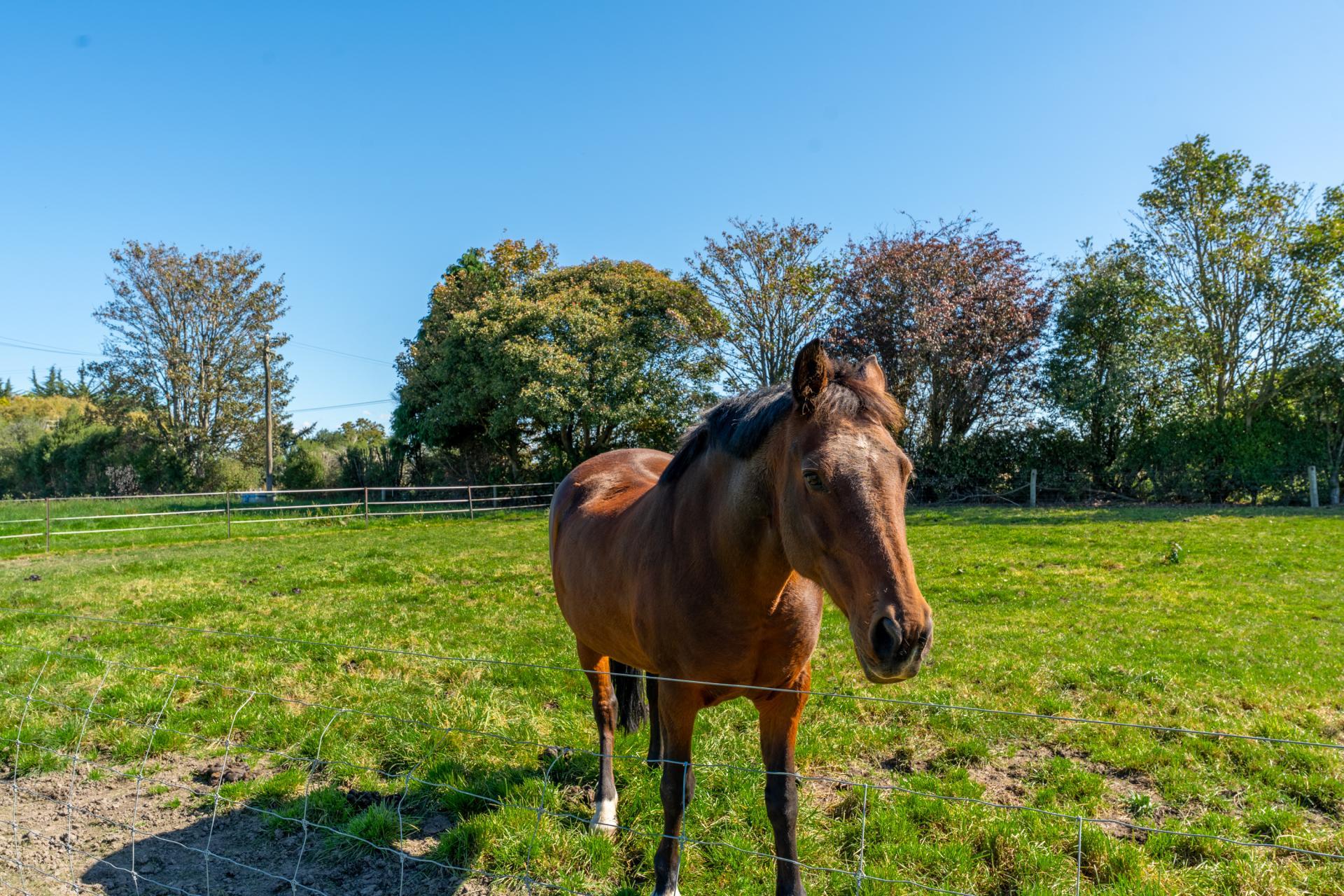 14 Arowhenua Station Road, Kerrytown