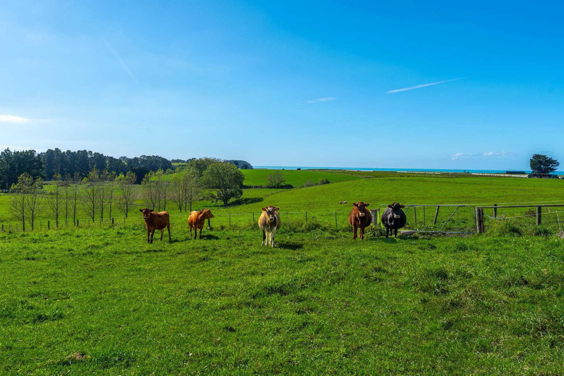 47 Craigie Road, Timaru