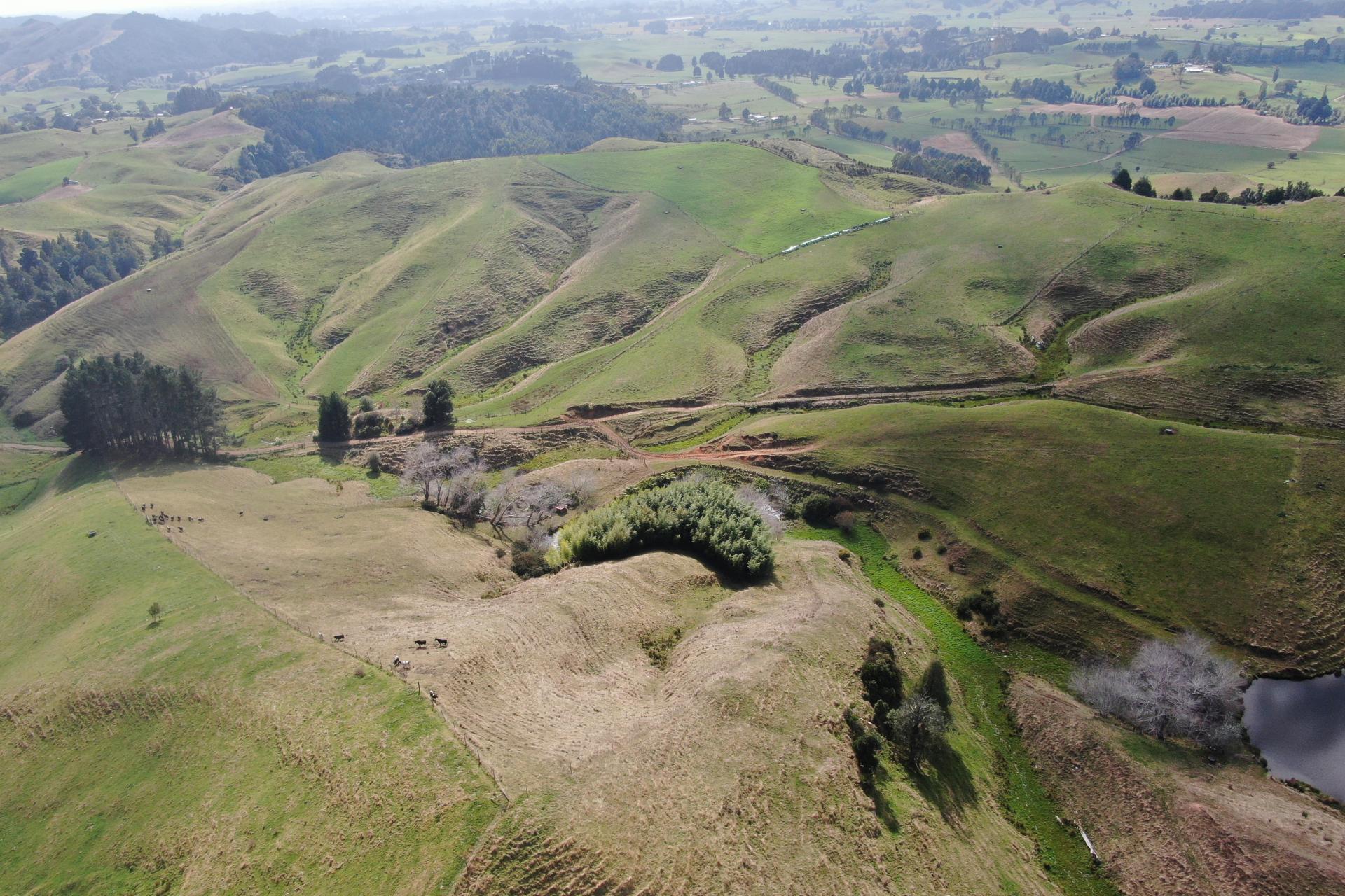 1026 Limeworks Loop Road, Karamu