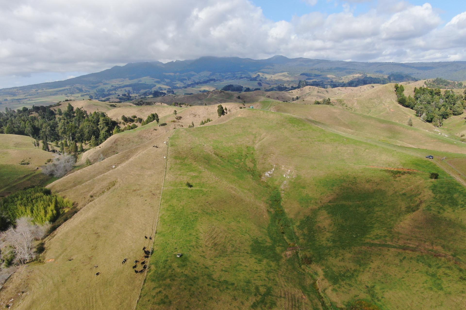 1026 Limeworks Loop Road, Karamu