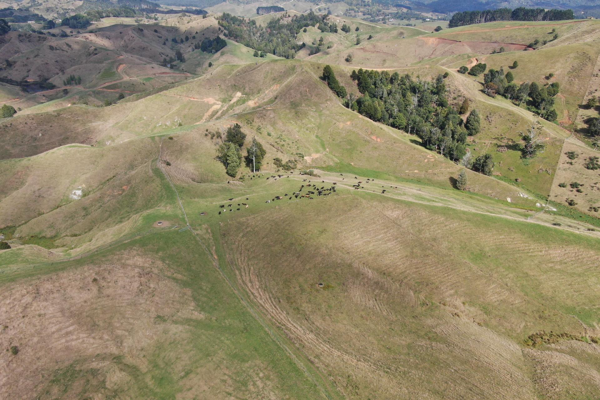 1026 Limeworks Loop Road, Karamu