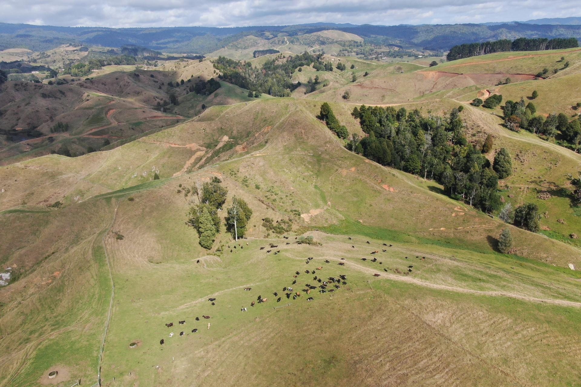 1026 Limeworks Loop Road, Karamu