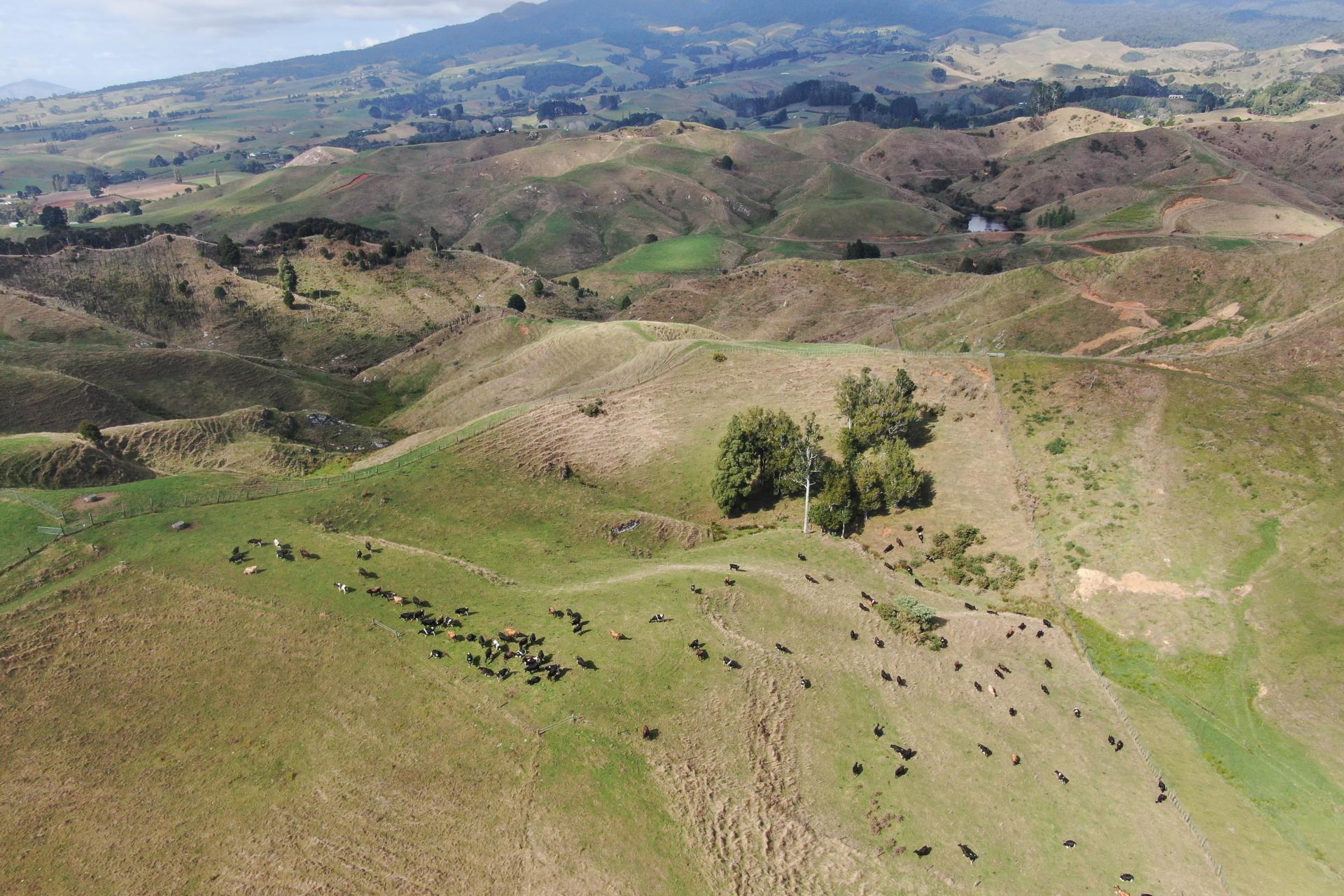 1026 Limeworks Loop Road, Karamu