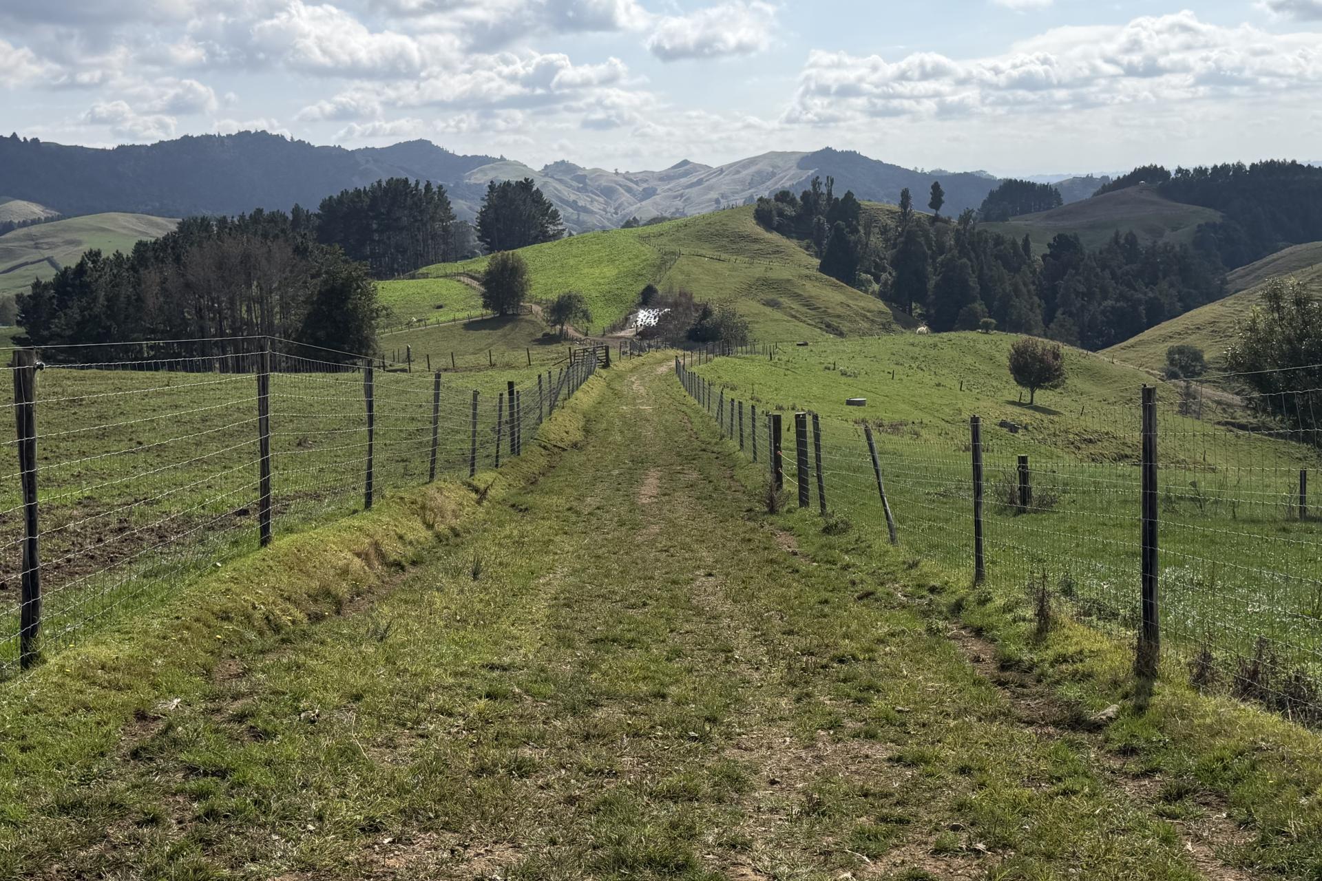 1026 Limeworks Loop Road, Karamu