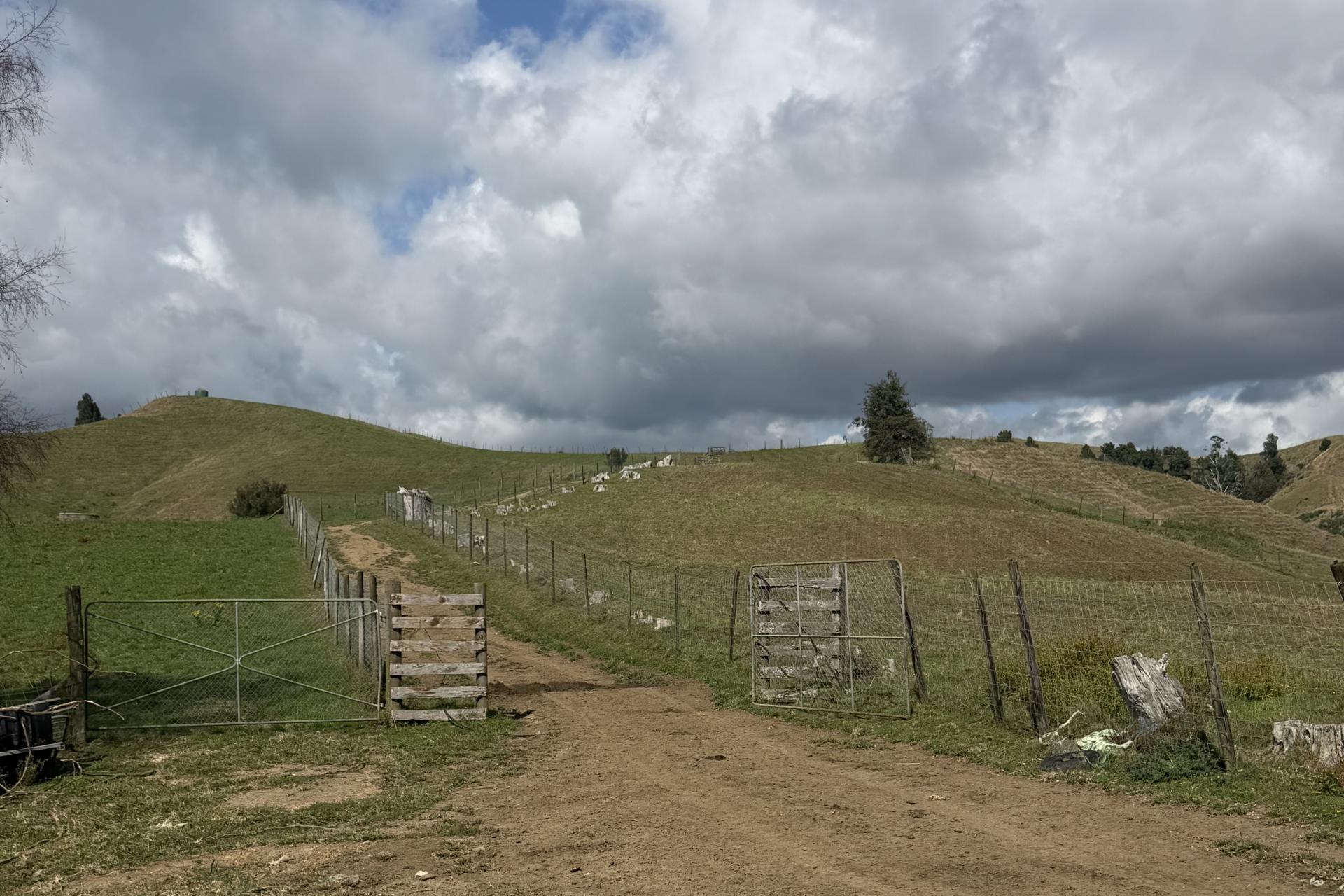 1026 Limeworks Loop Road, Karamu