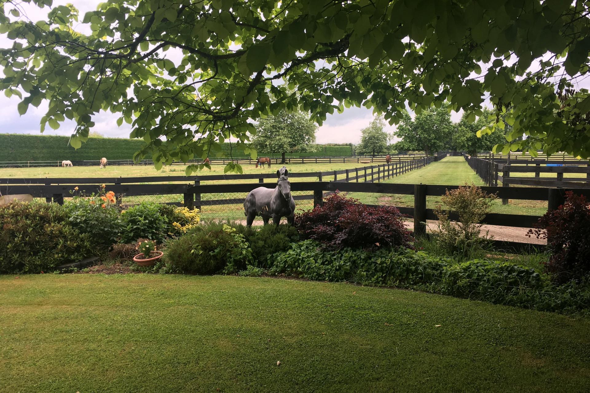 598 Marychurch Road, Matangi