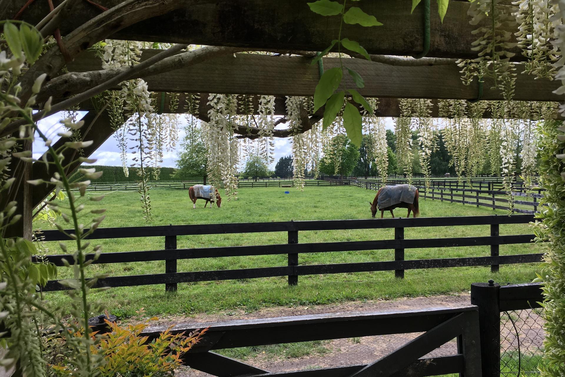 598 Marychurch Road, Matangi