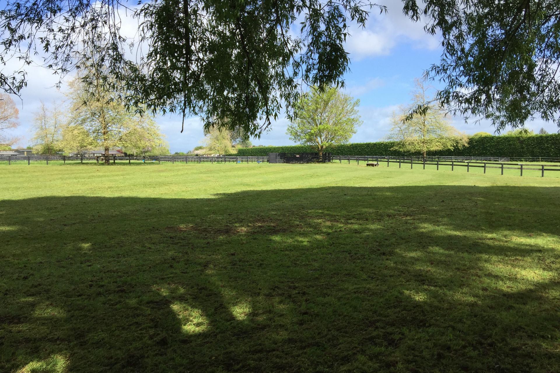 598 Marychurch Road, Matangi