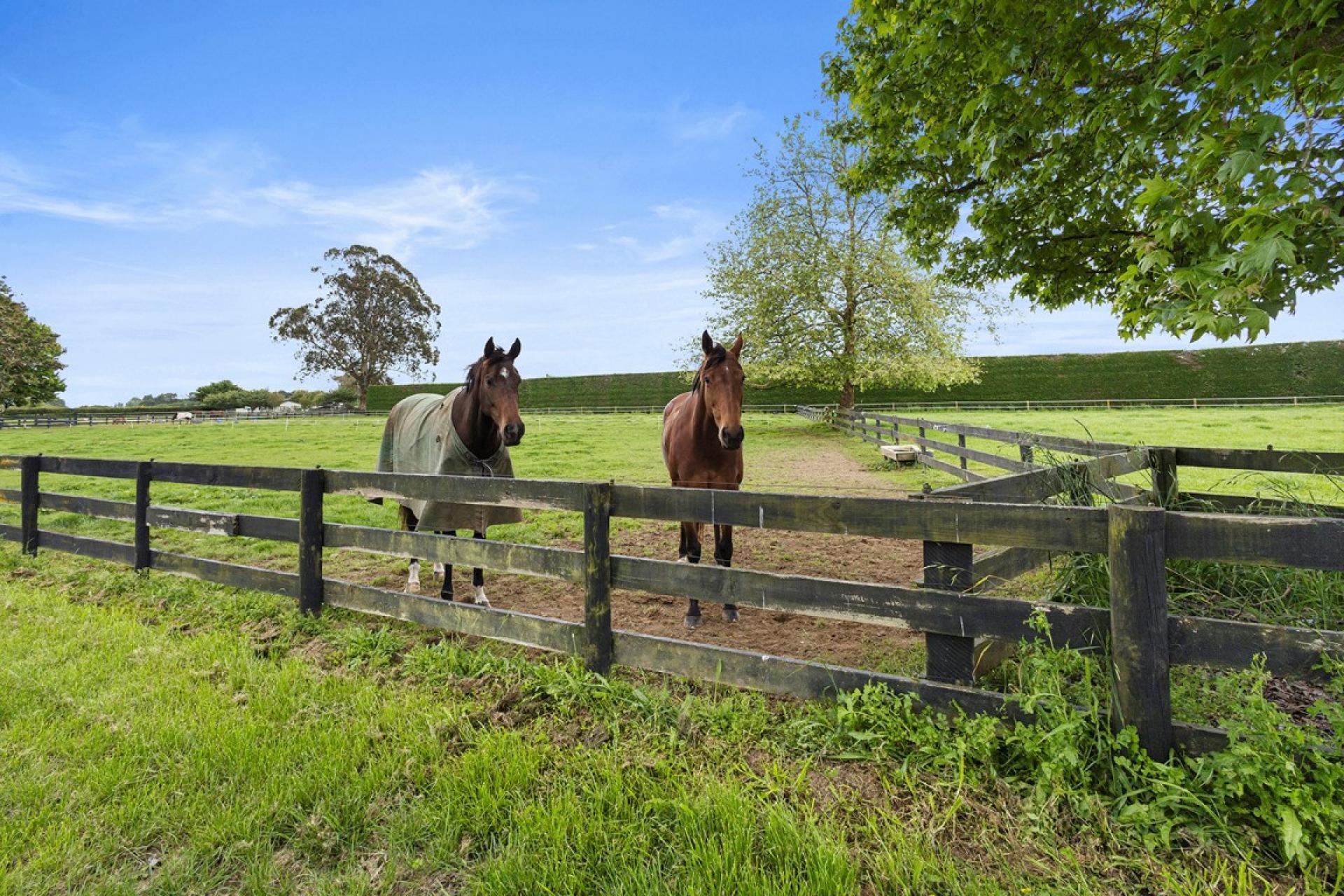 598 Marychurch Road, Matangi