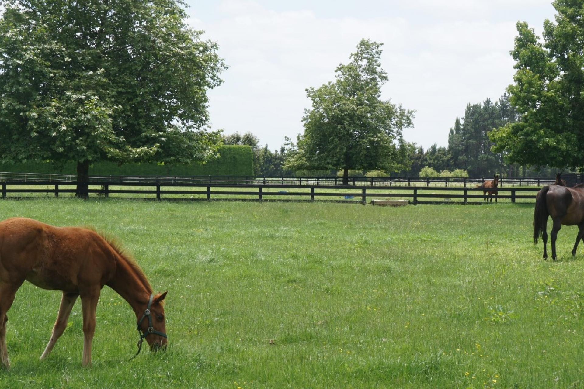 598 Marychurch Road, Matangi