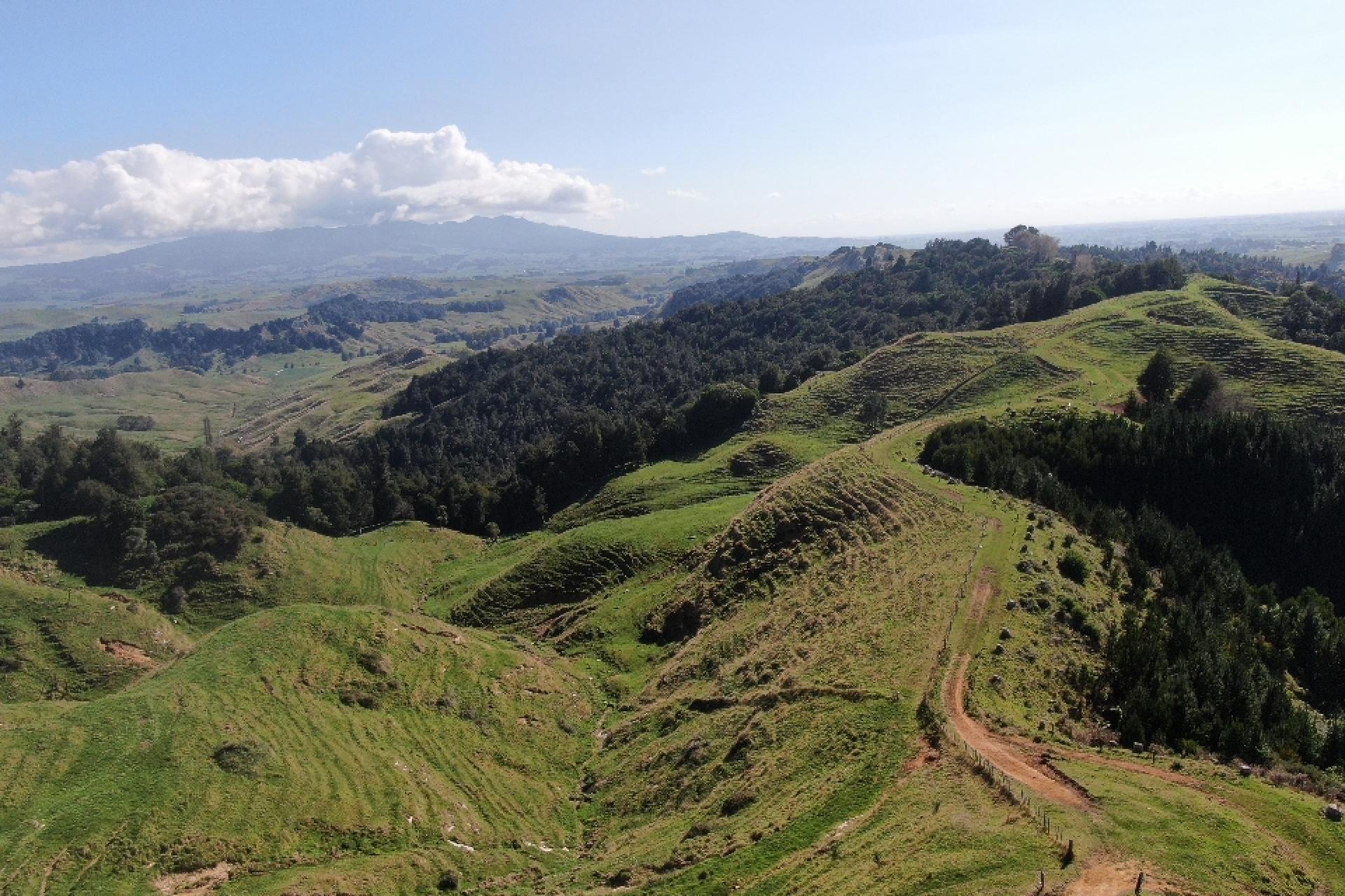284 Owaikura Road, Otorohanga