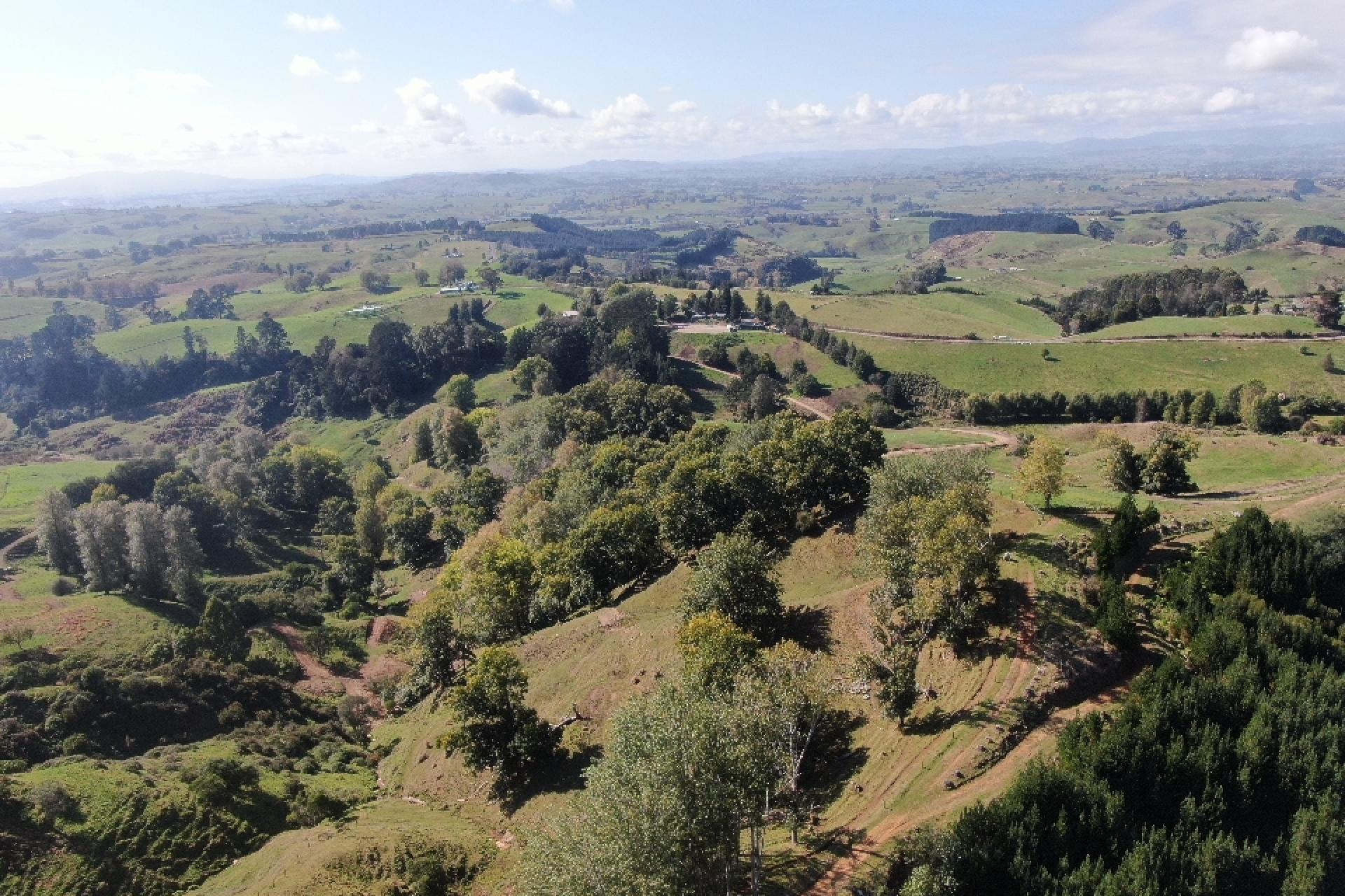 284 Owaikura Road, Otorohanga