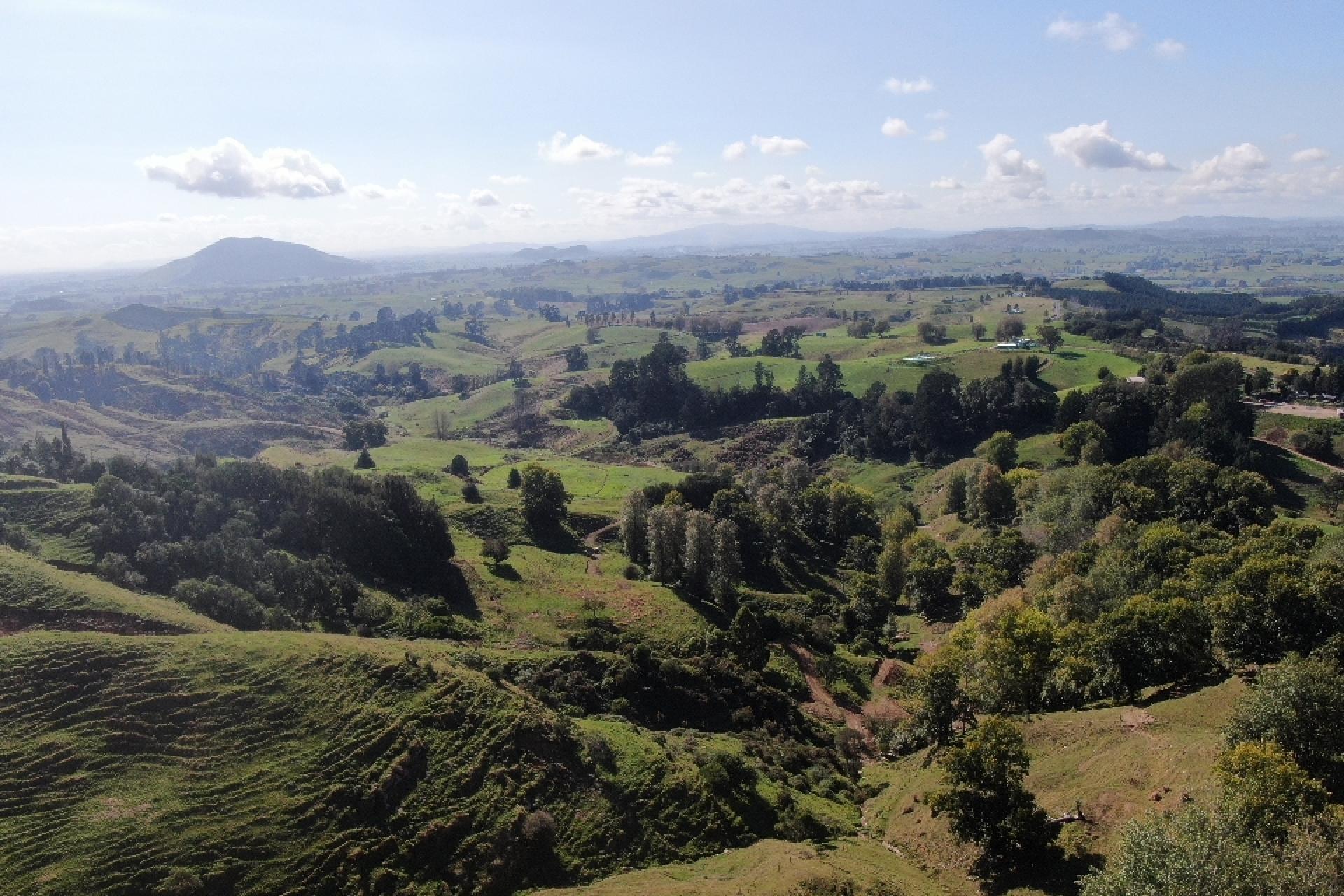 284 Owaikura Road, Otorohanga