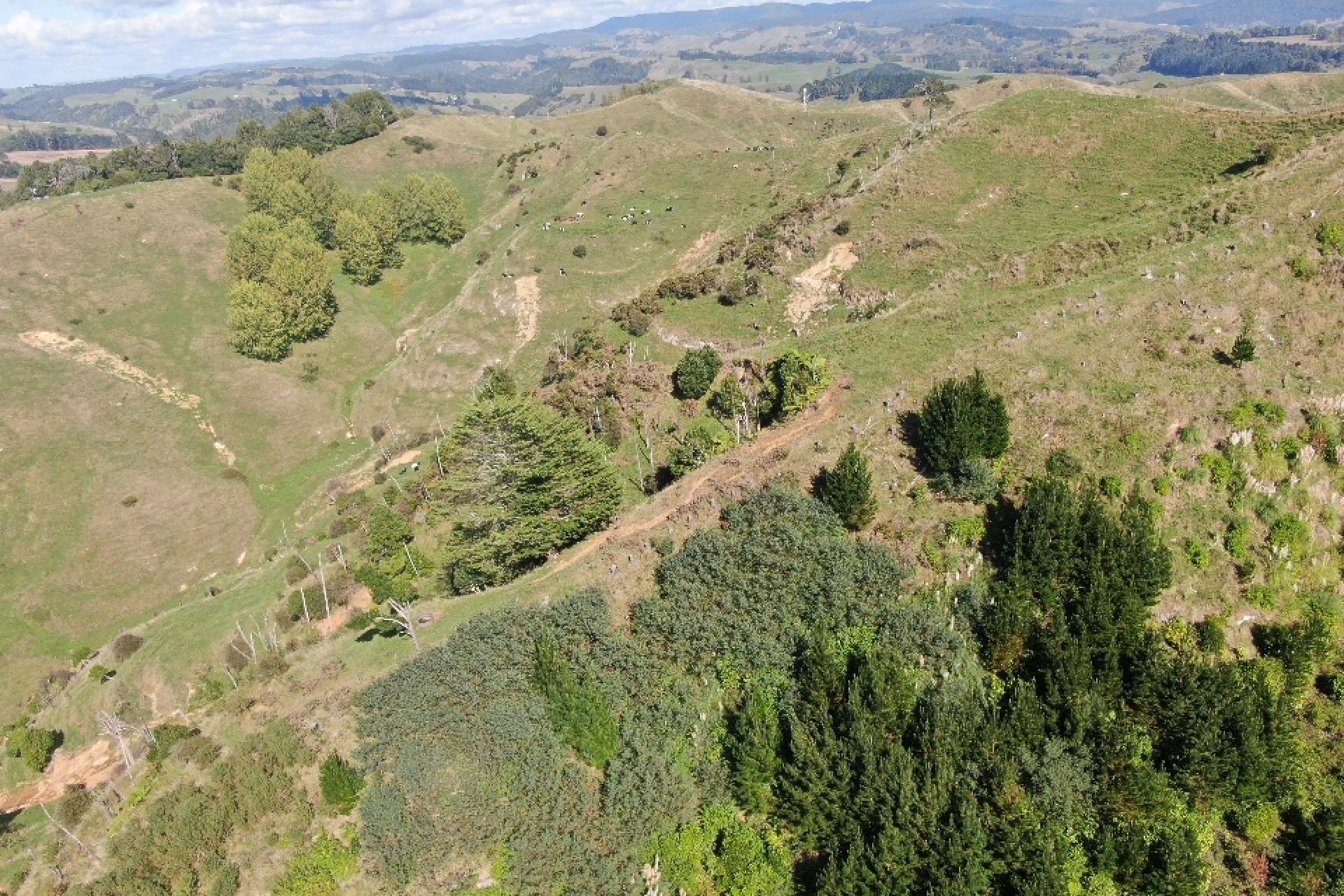 284 Owaikura Road, Otorohanga