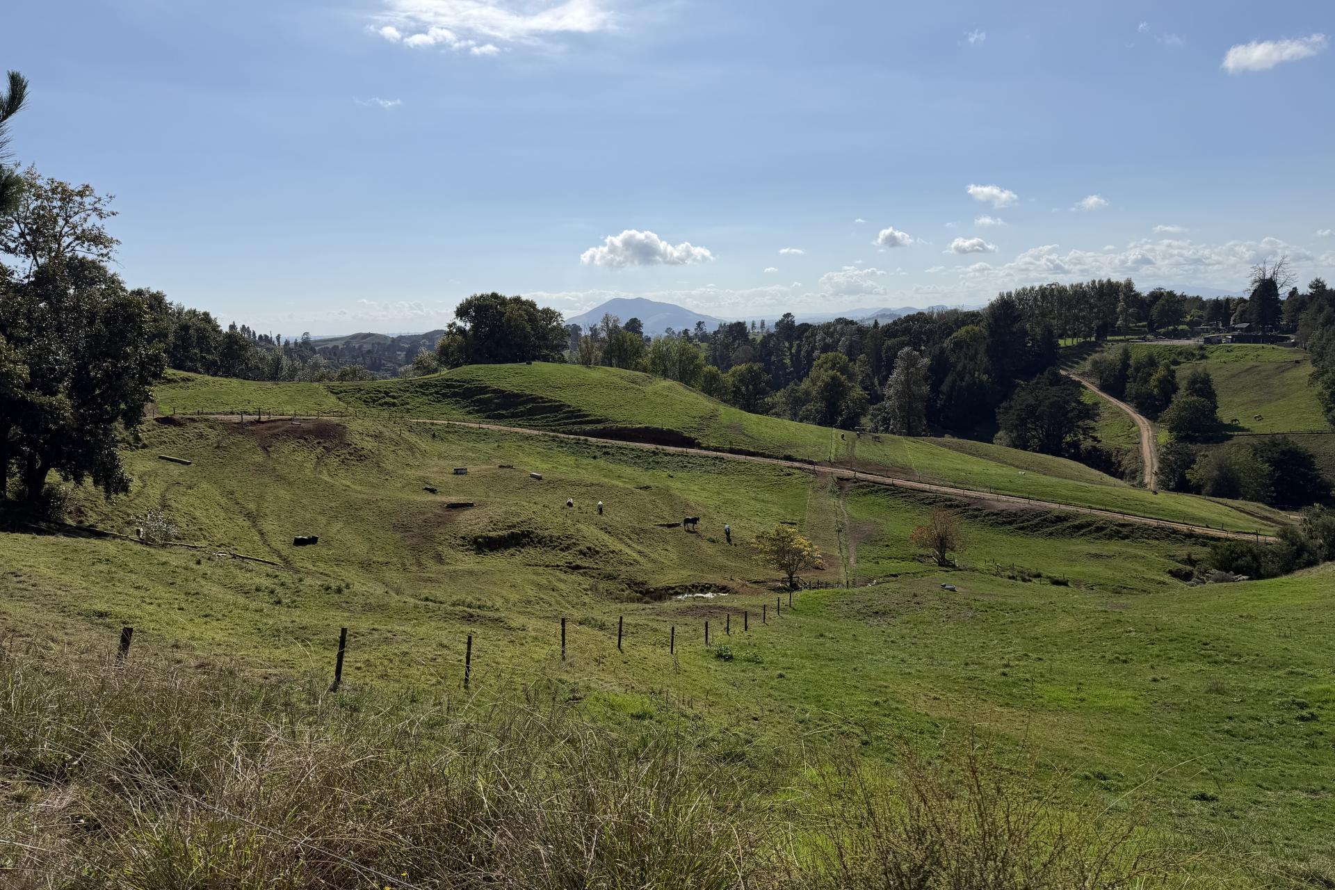 284 Owaikura Road, Otorohanga