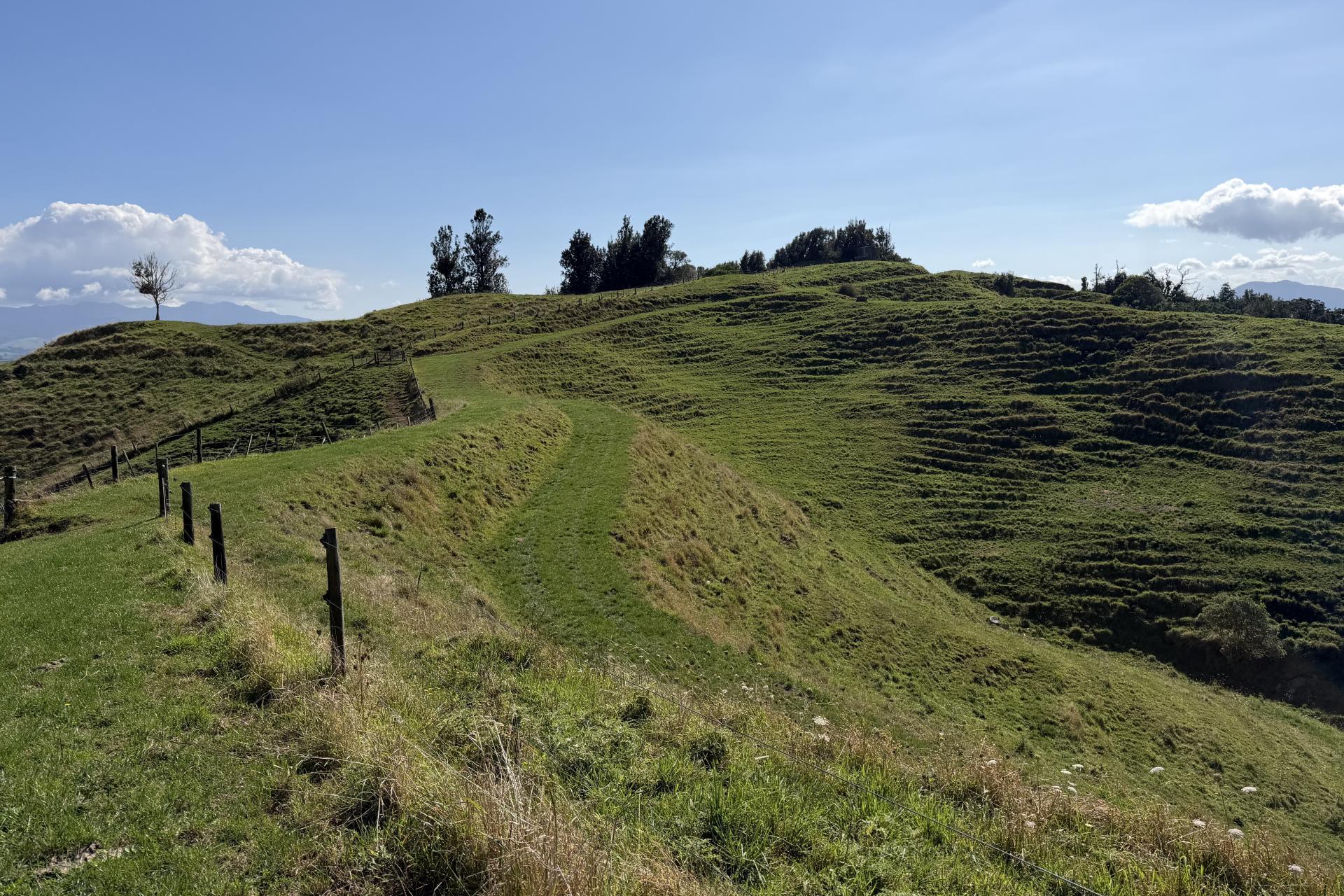284 Owaikura Road, Otorohanga
