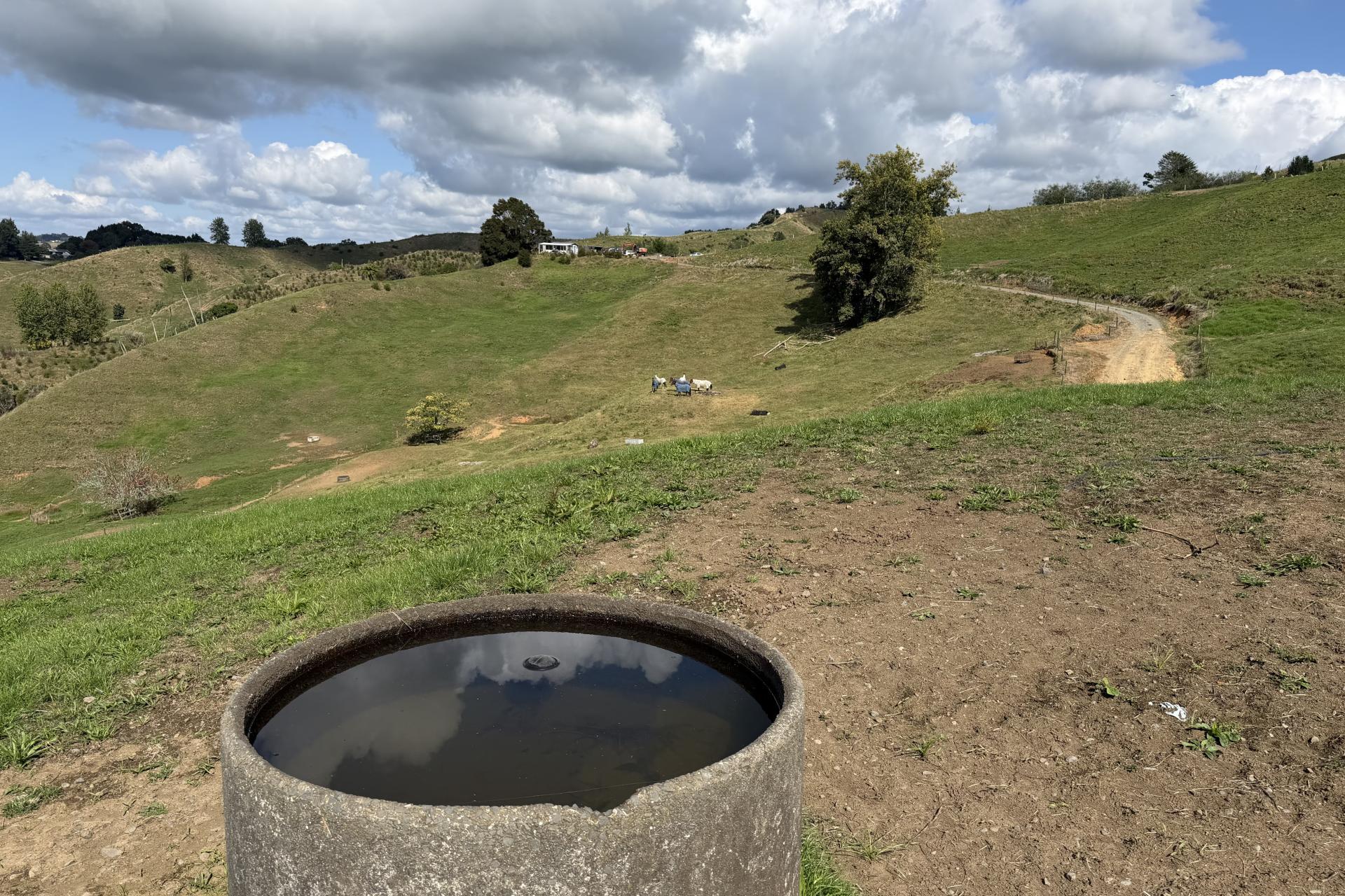 284 Owaikura Road, Otorohanga
