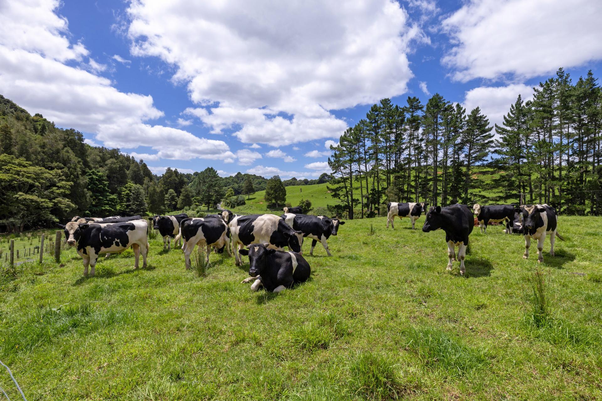 83 Kerr Road, Glen Murray