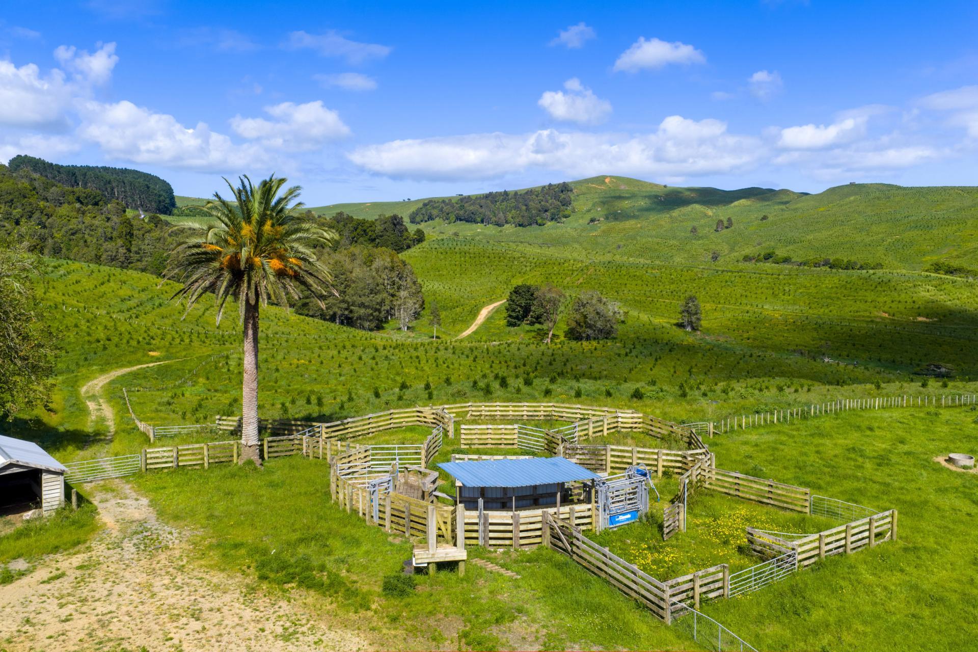 83 Kerr Road, Glen Murray