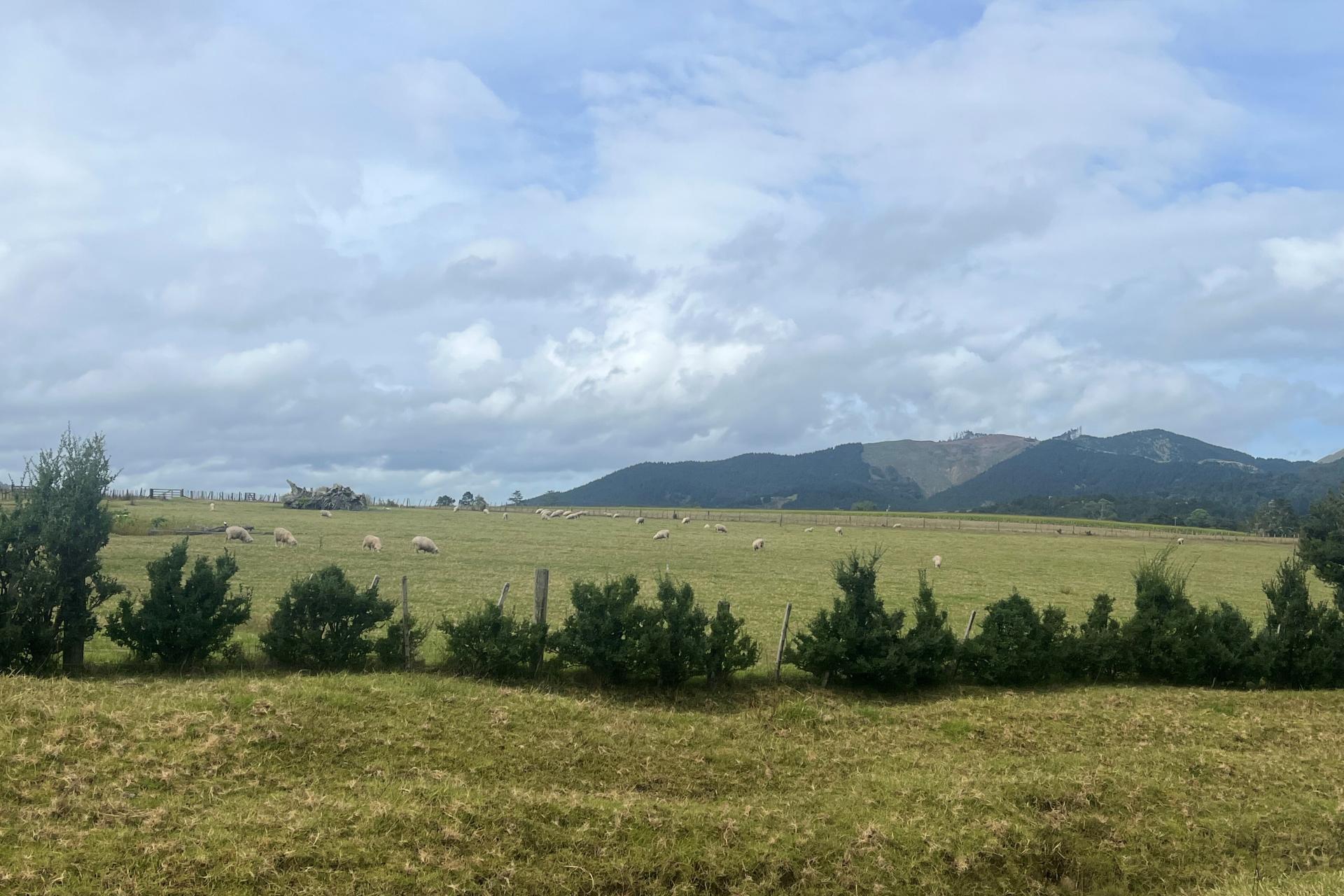 3567 Mangakahia Road, Poroti