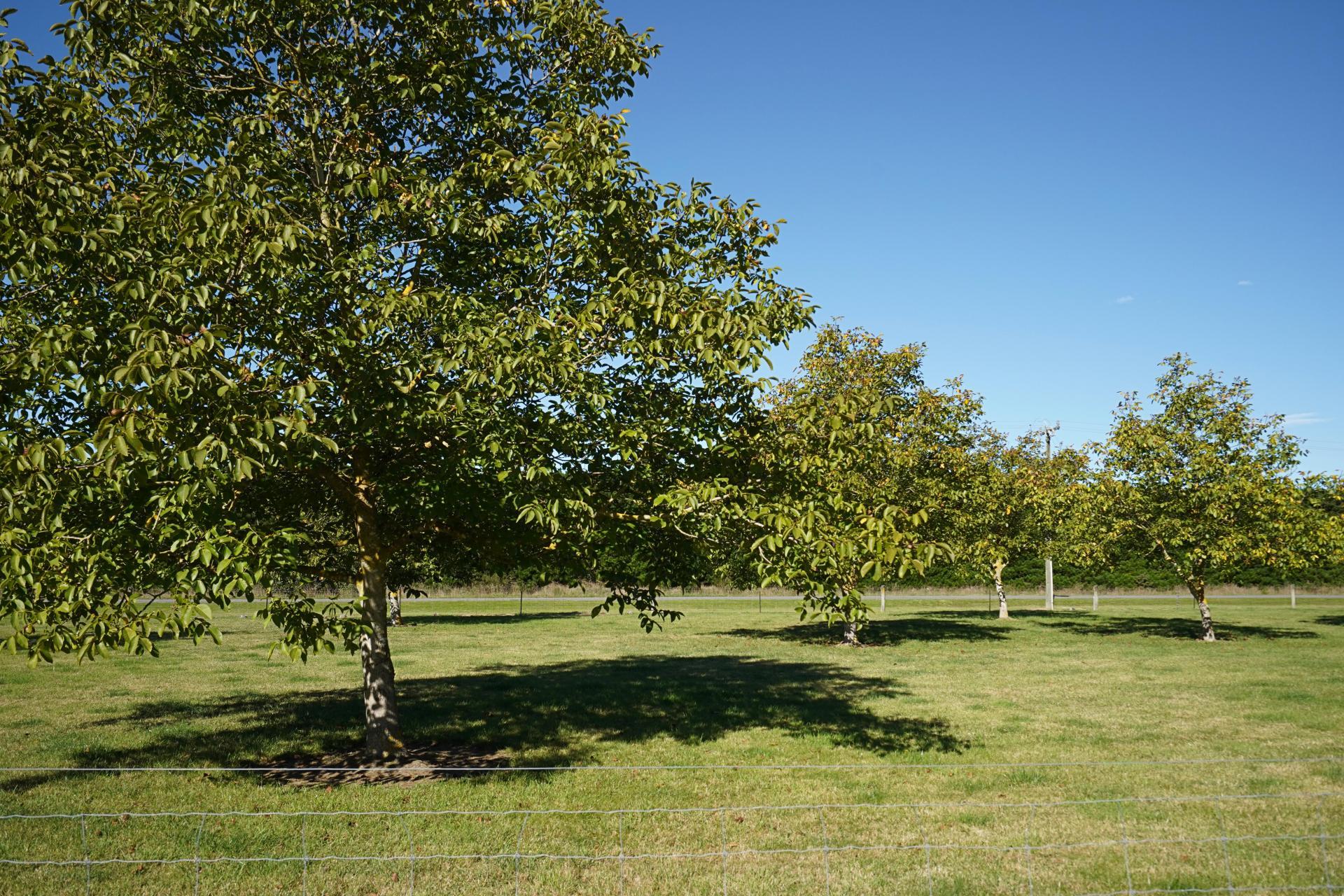 279 School Road, West Eyreton