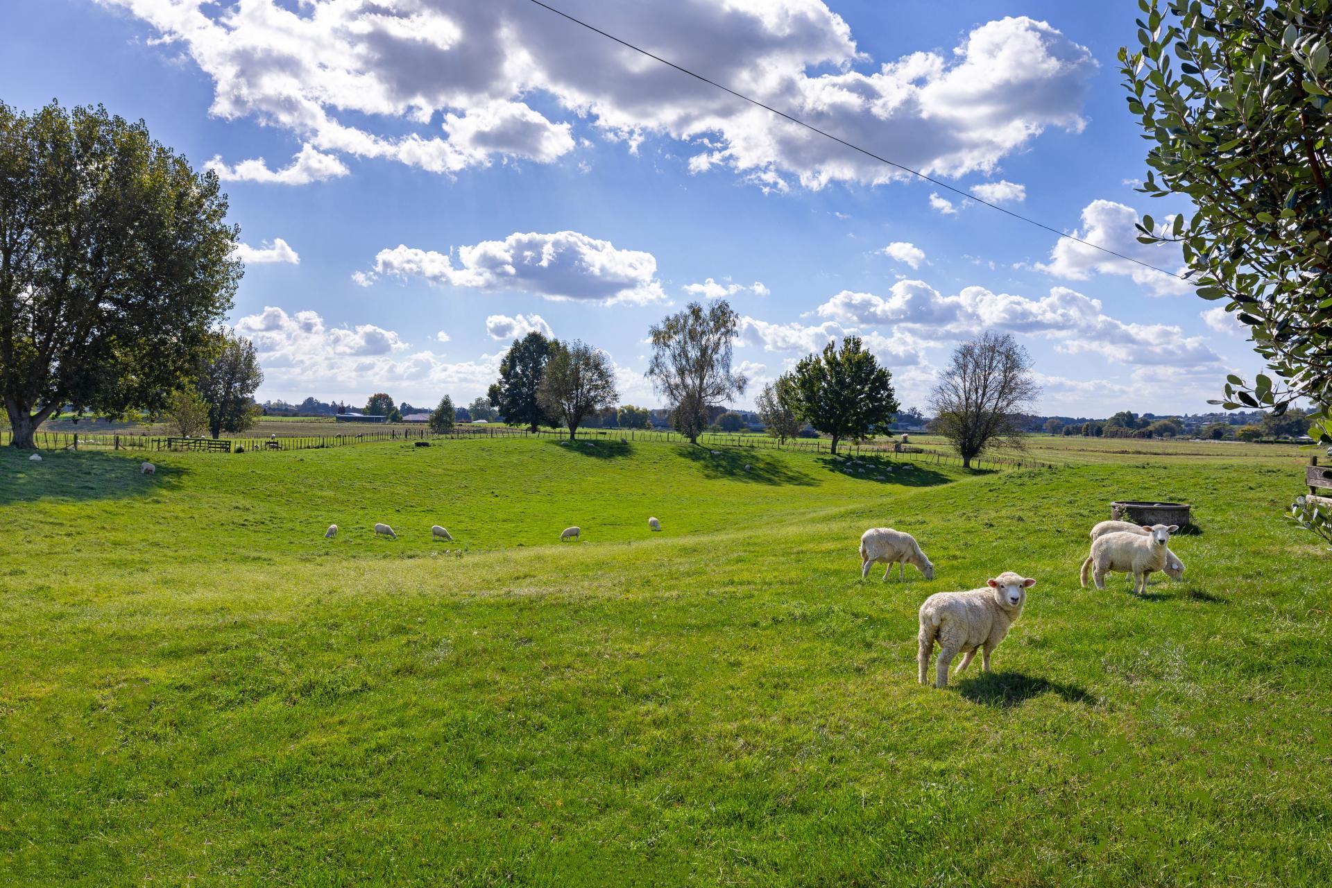 81 McGhie Road, Te Awamutu