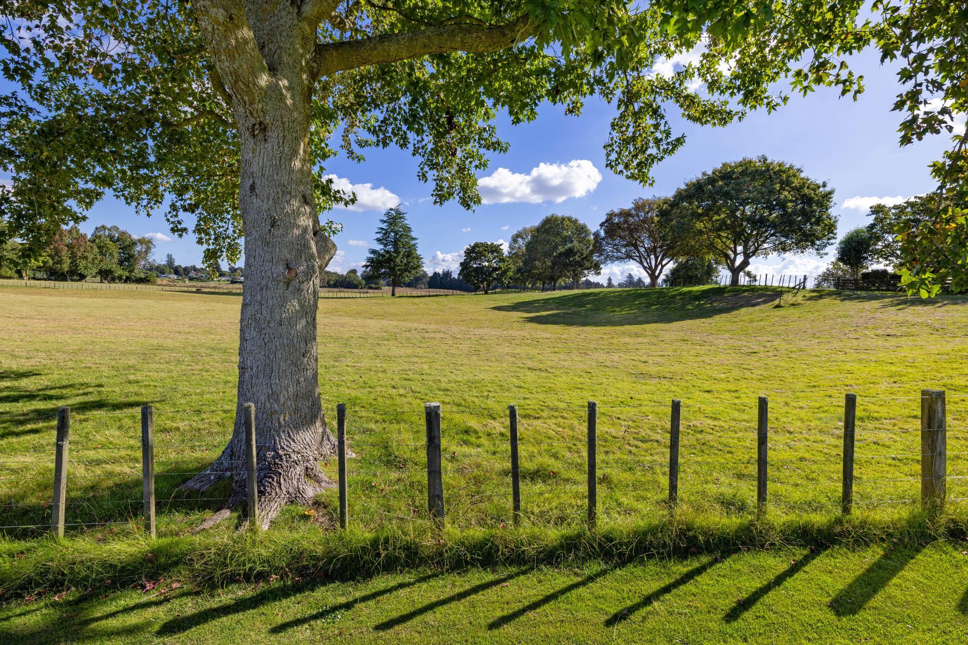 81 McGhie Road, Te Awamutu